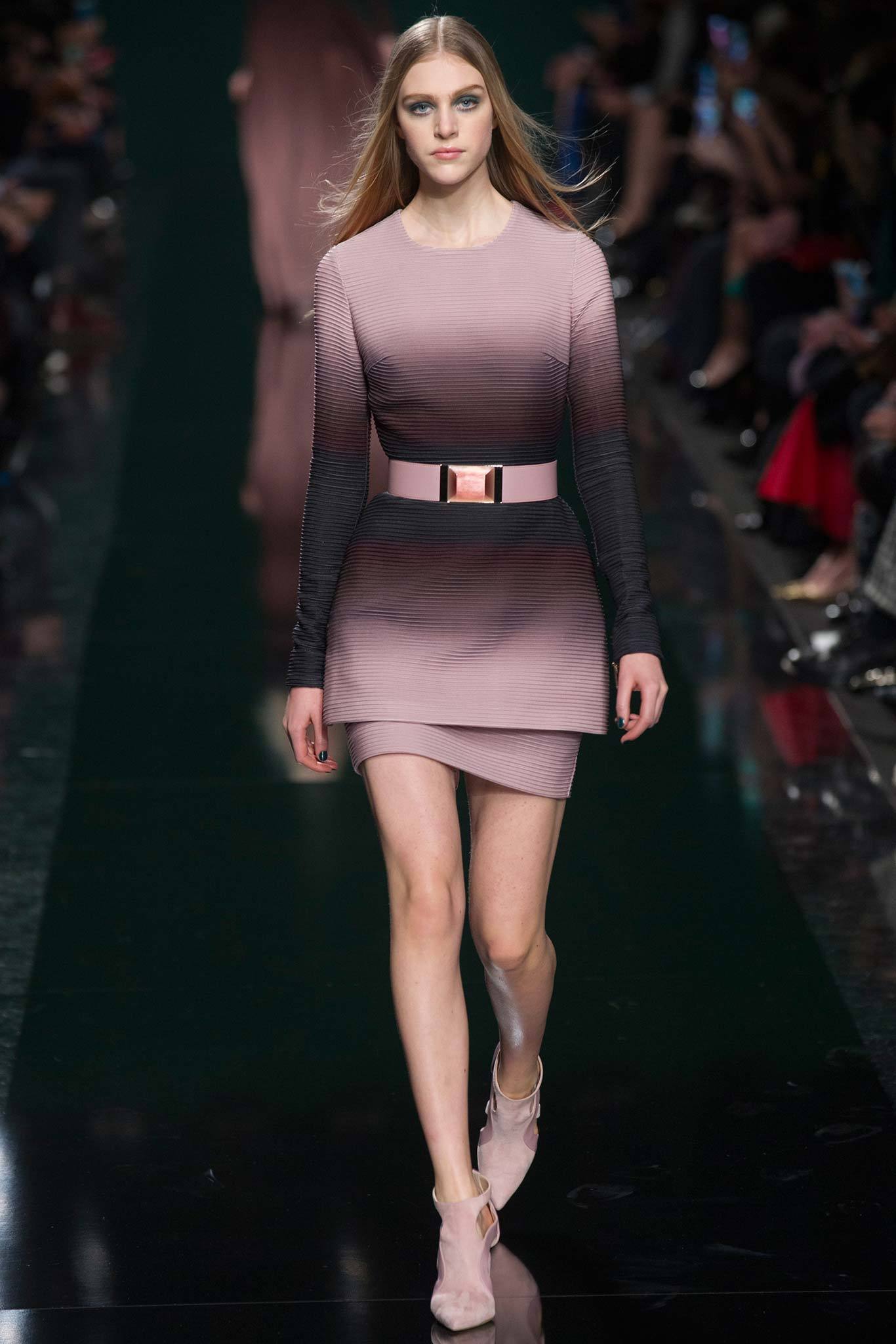 Elie Saab F/W 14 Look 12