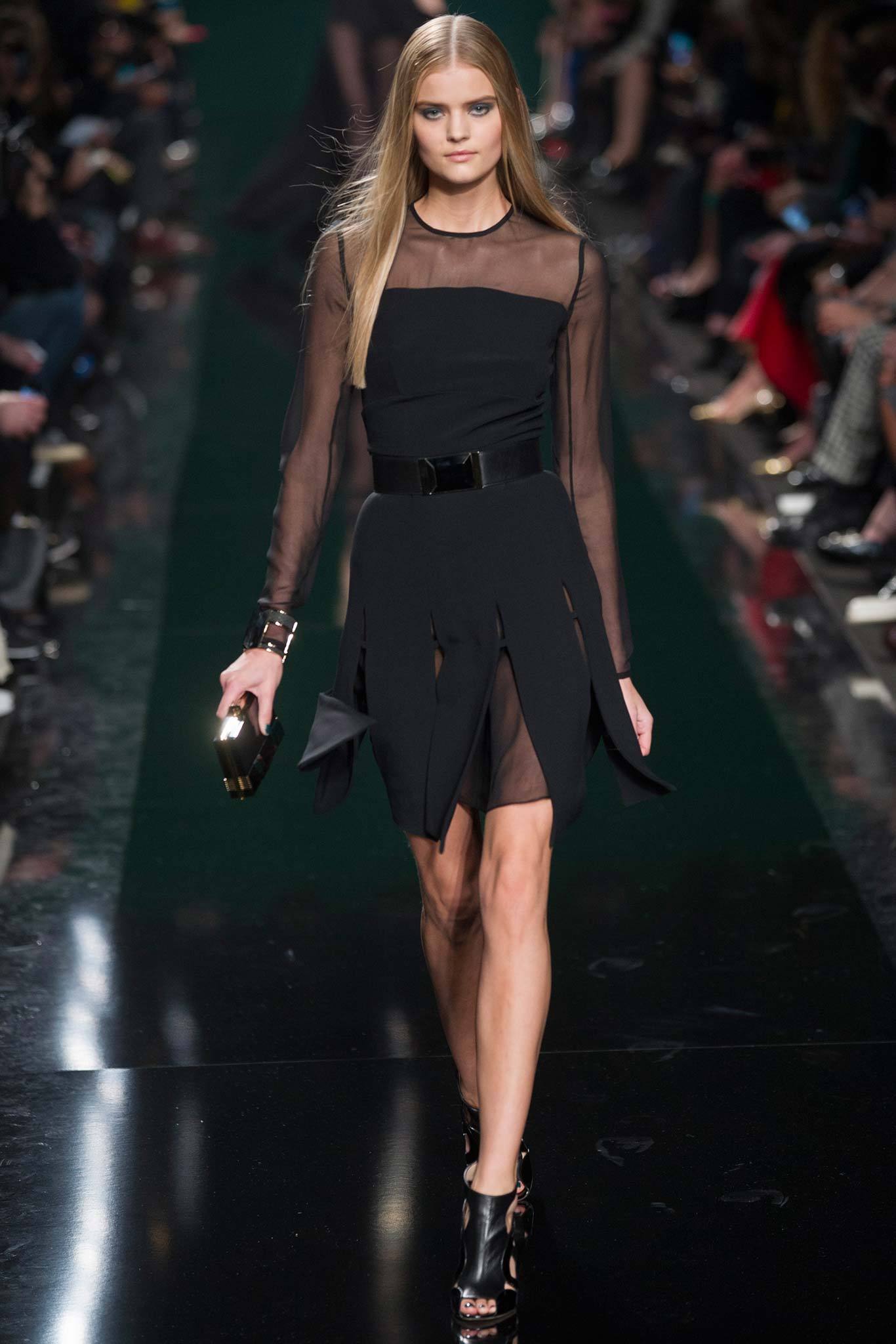 Elie Saab F/W 14 Look 39