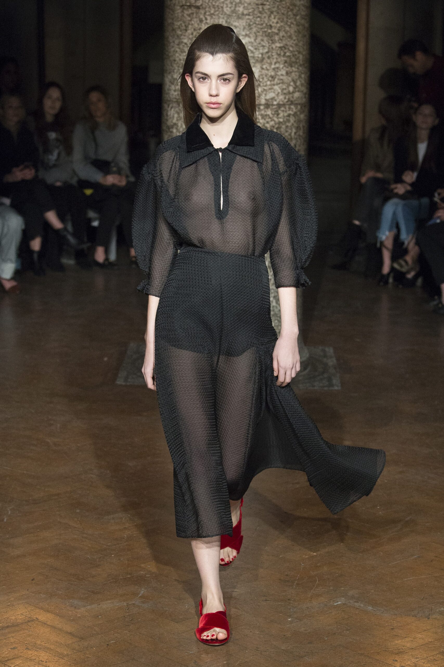 Emilia Wickstead F/W 17 Look 23