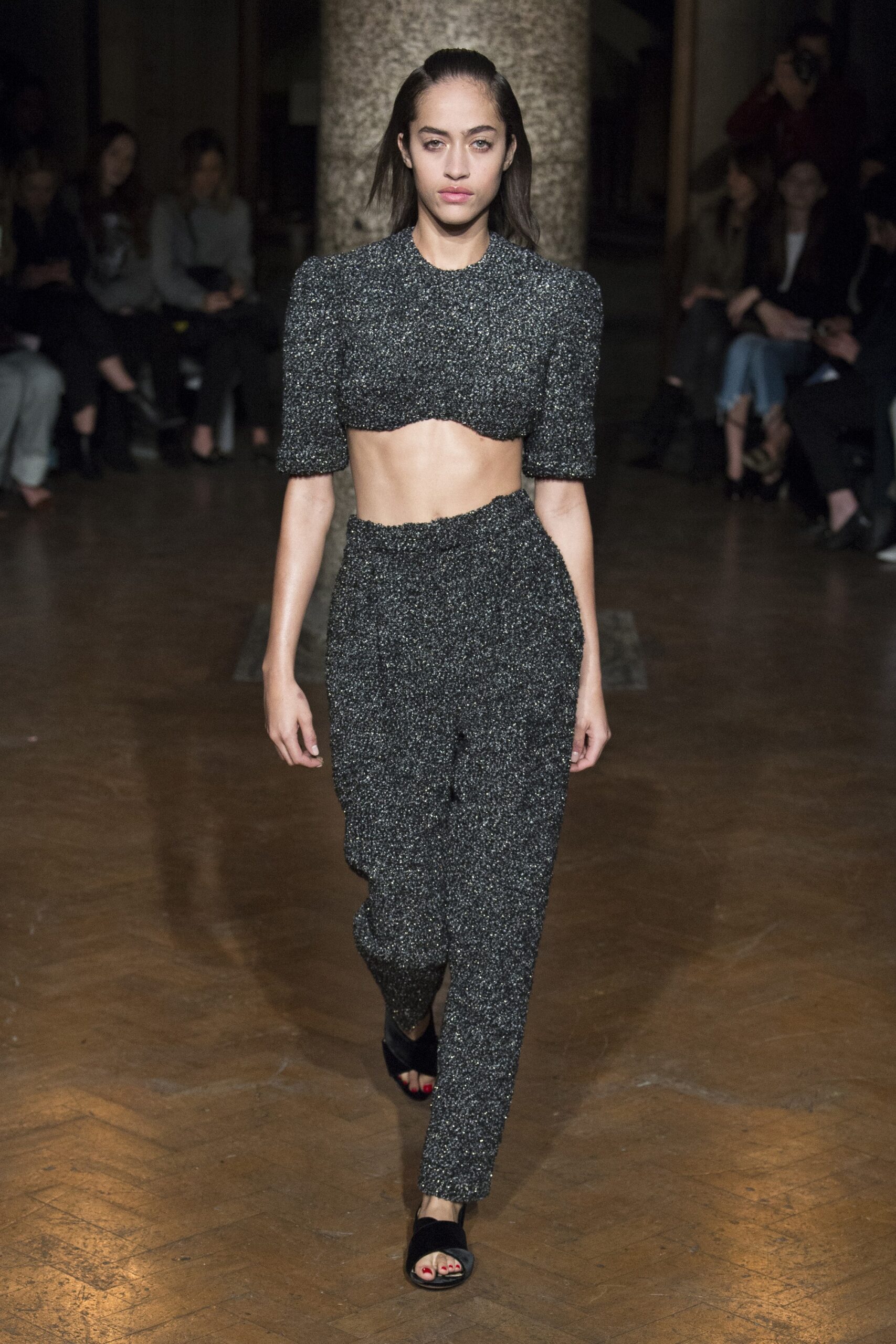 Emilia Wickstead F/W 17 Look 29
