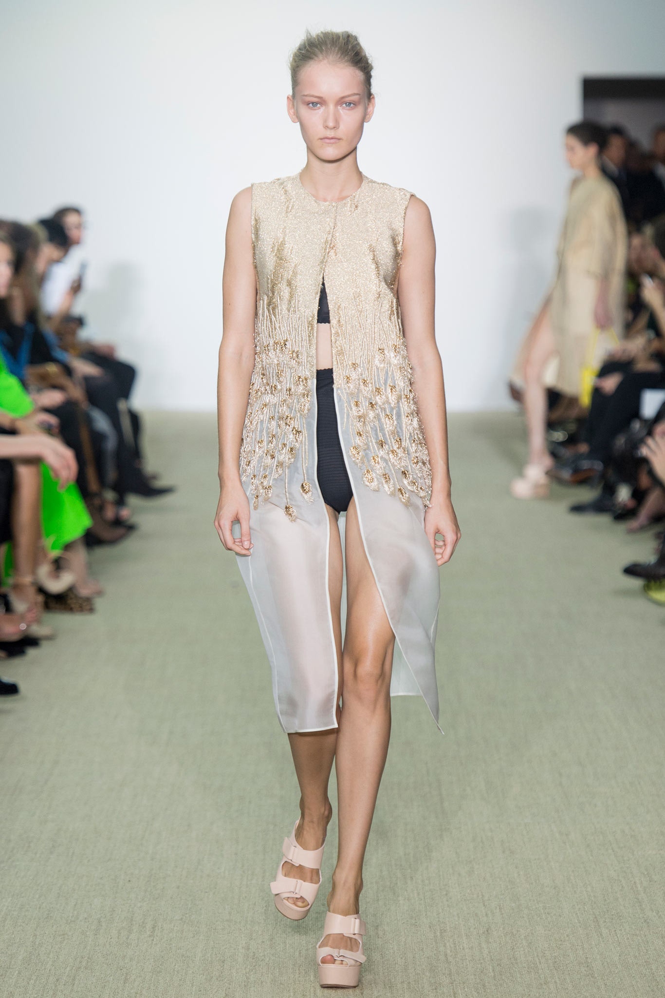 Giambattista Valli S/S 14 Look 34