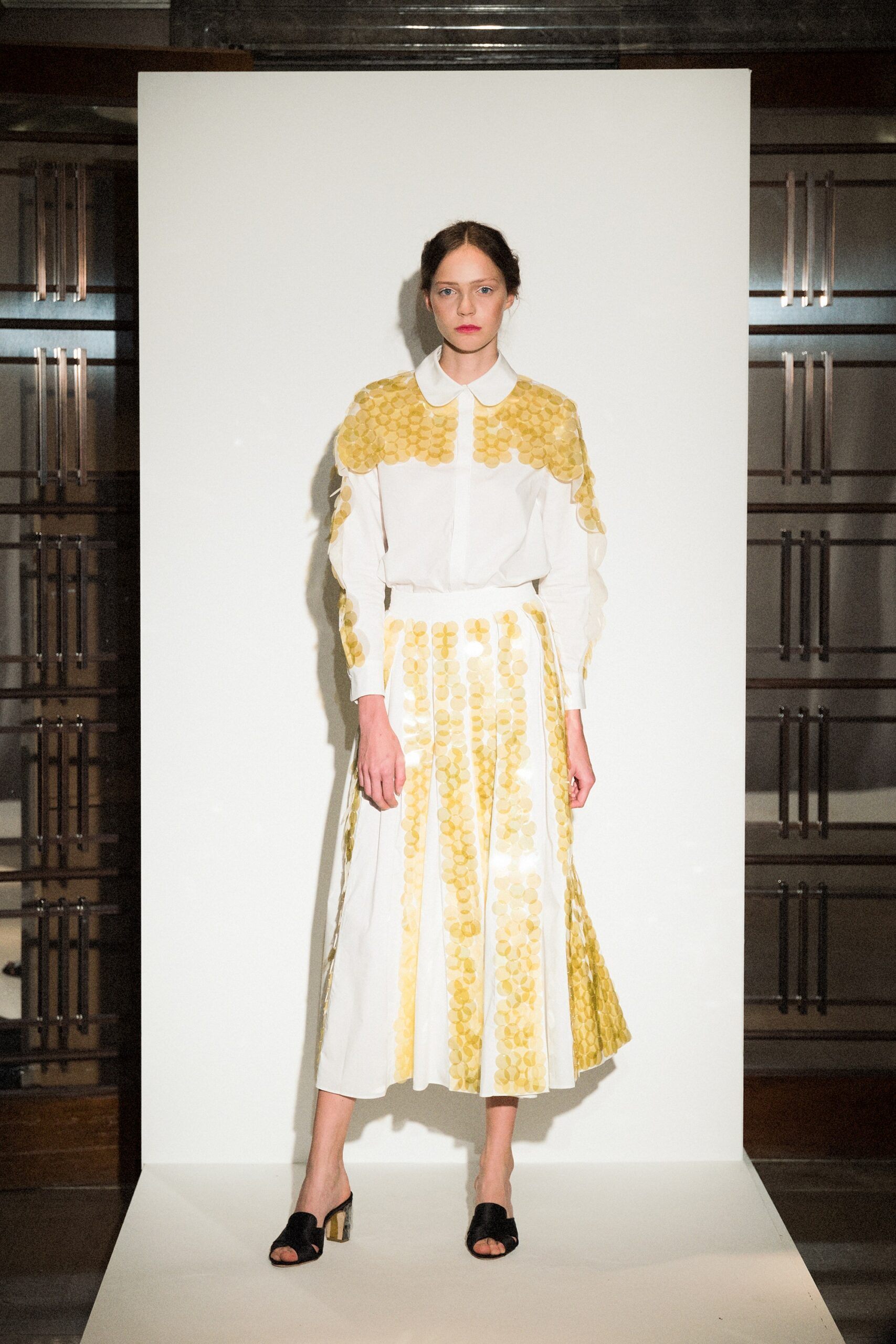 Huishan Zhang Spring 2018 Ready-to-Wear
