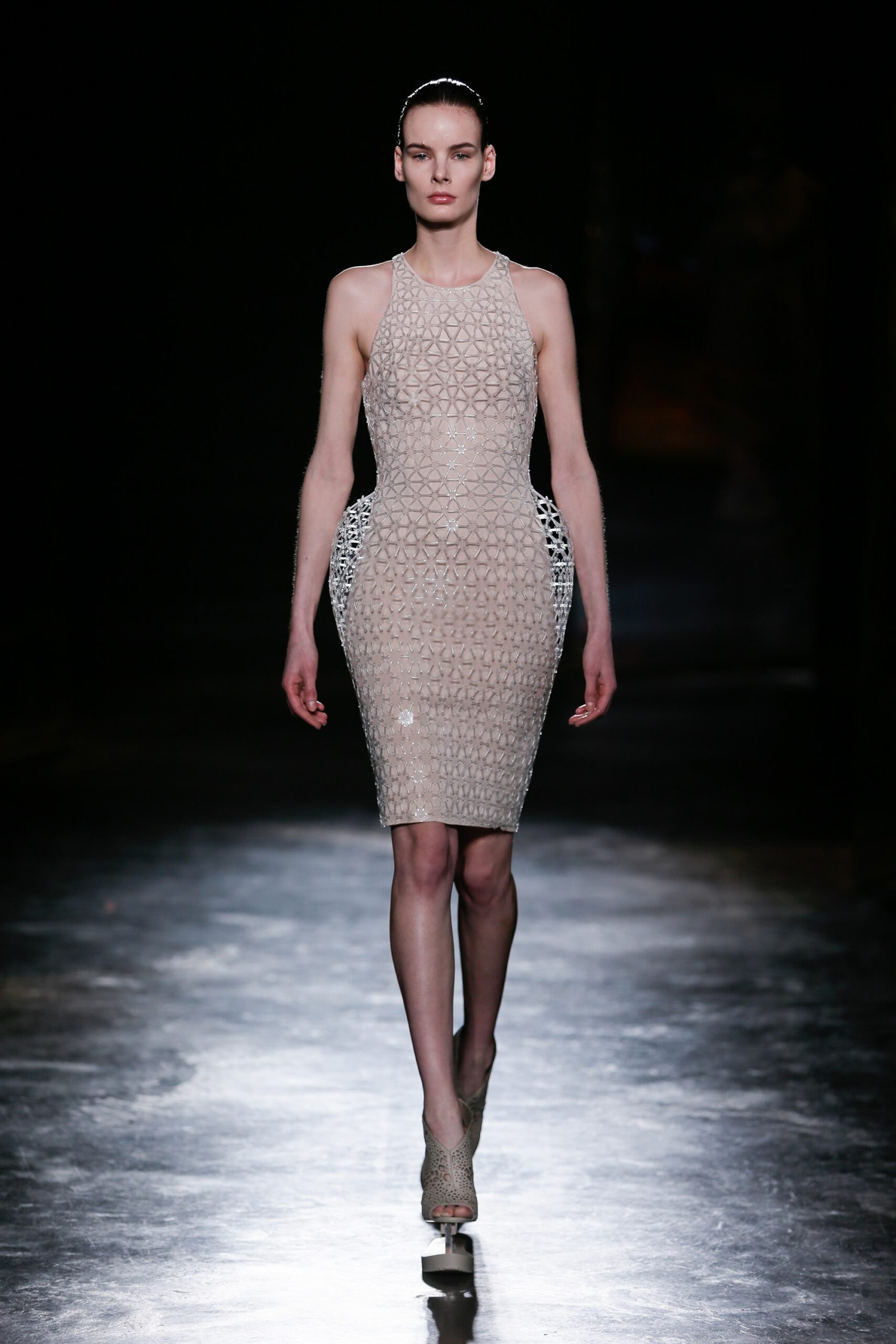 Iris van Herpen F/W 16 Look 2