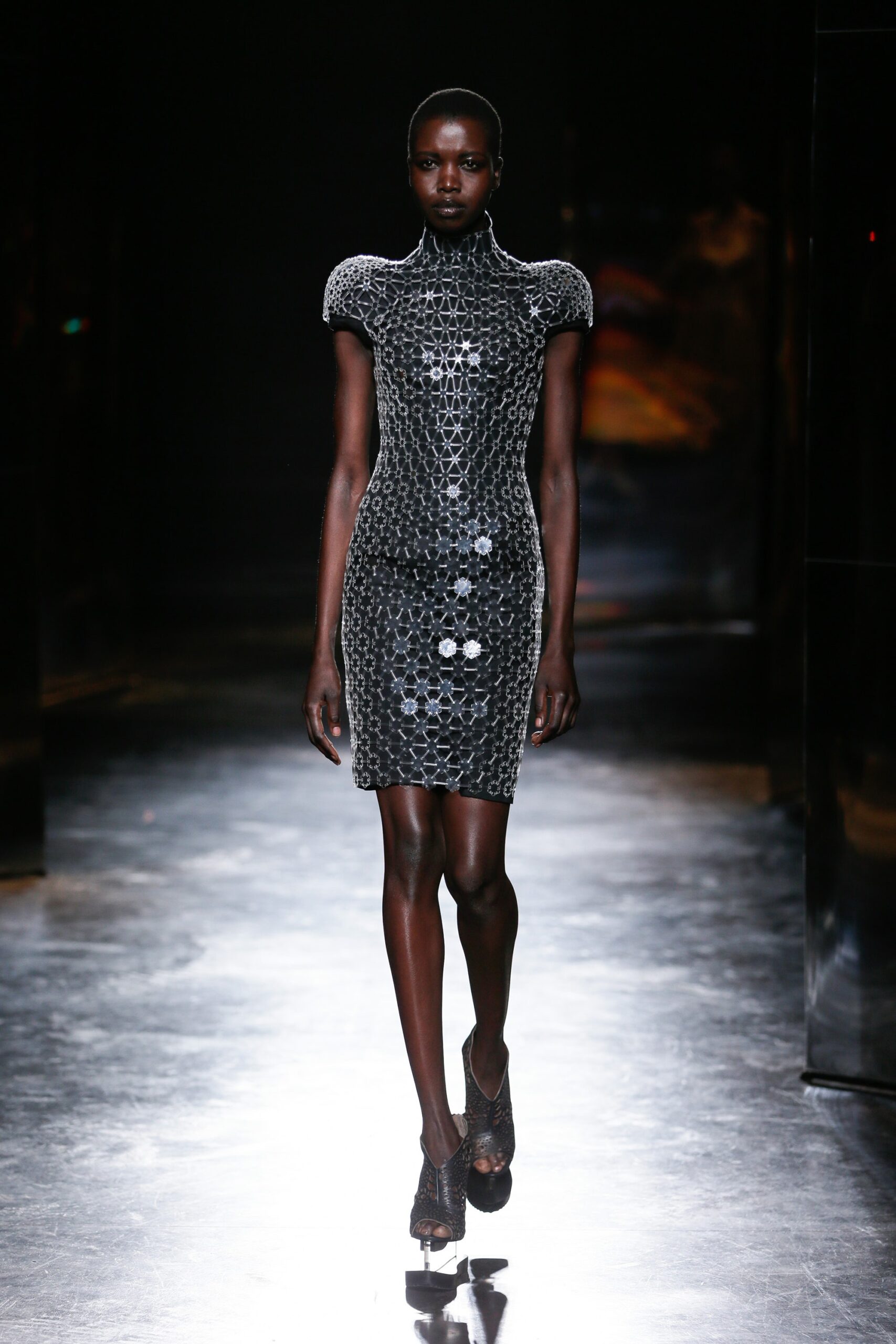 Iris van Herpen F/W 16 Look 3
