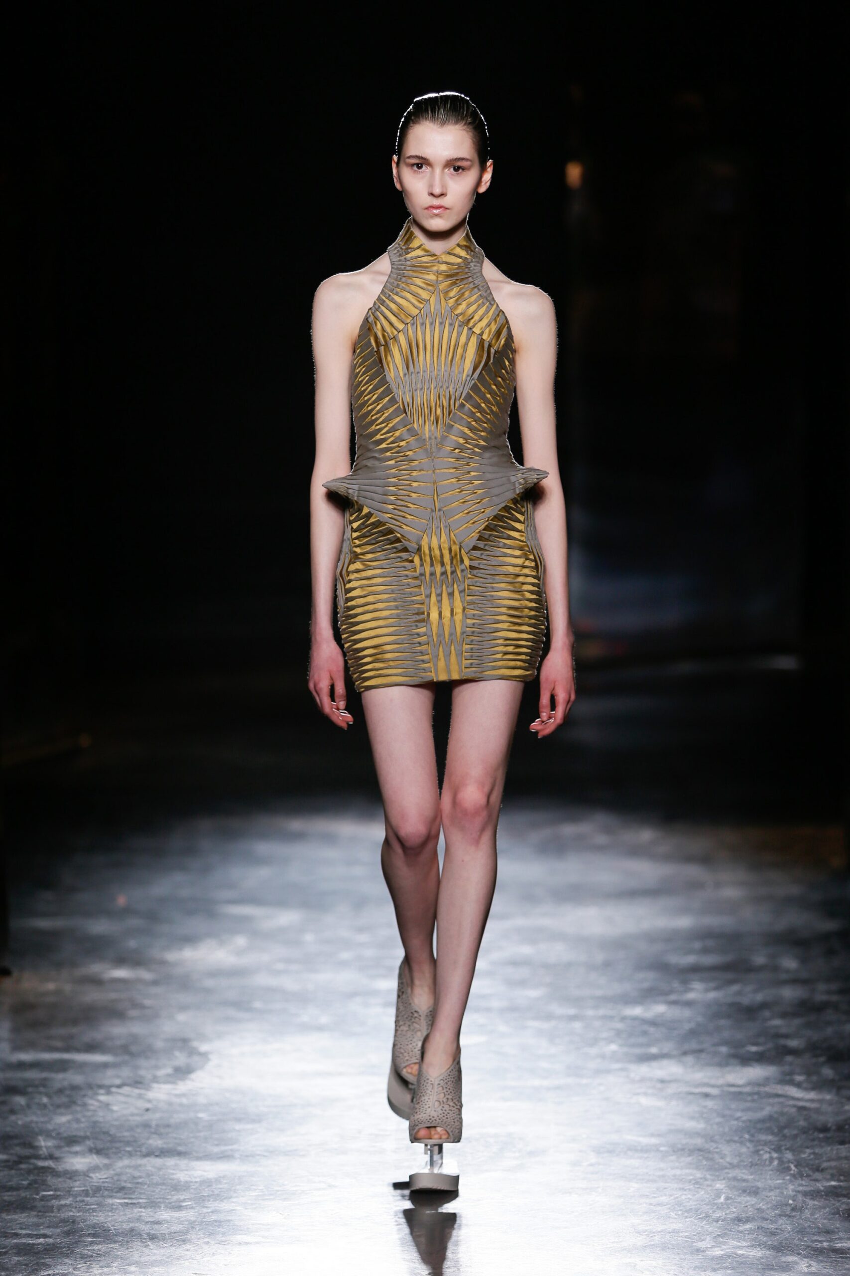 Iris van Herpen F/W 16 Look 12