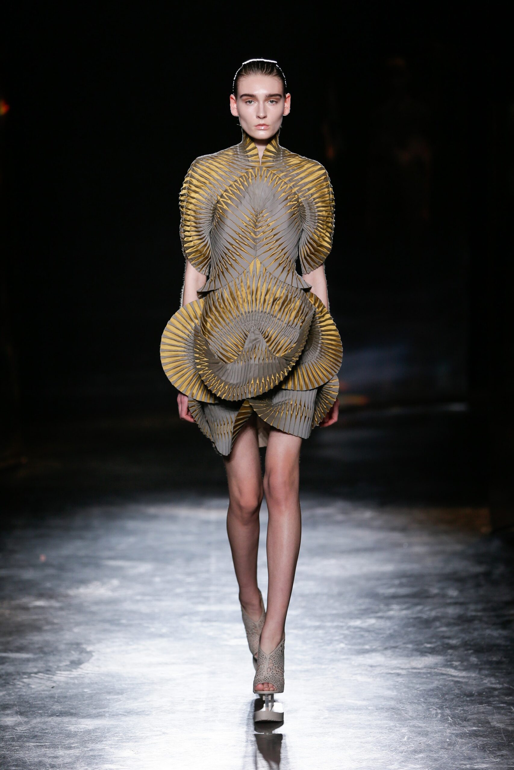 Iris van Herpen F/W 16 Look 13