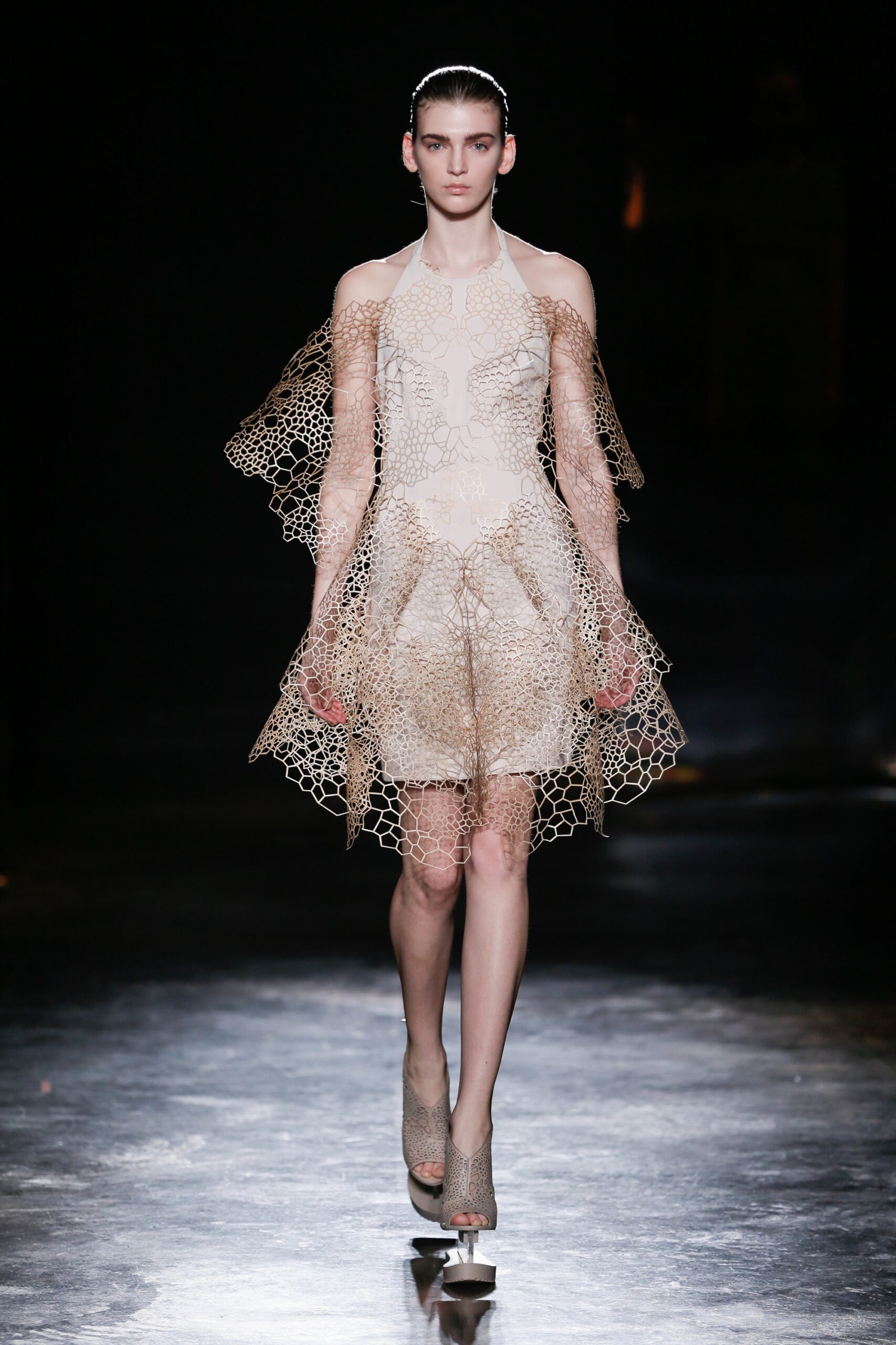 Iris van Herpen F/W 16 Look 15