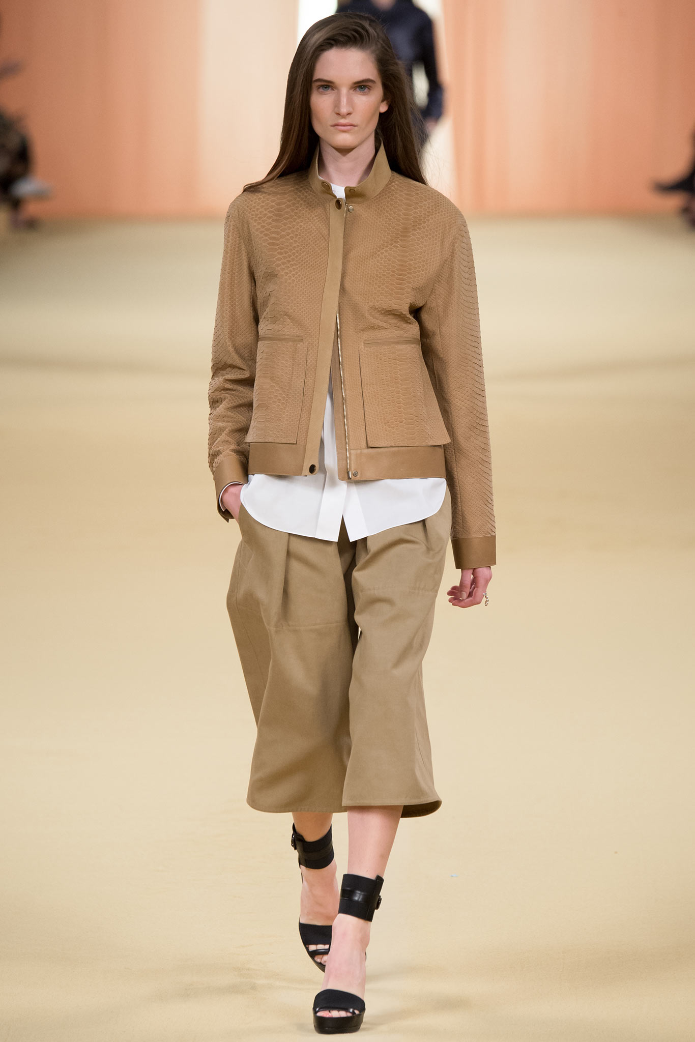 Hermès S/S 15 Look 12