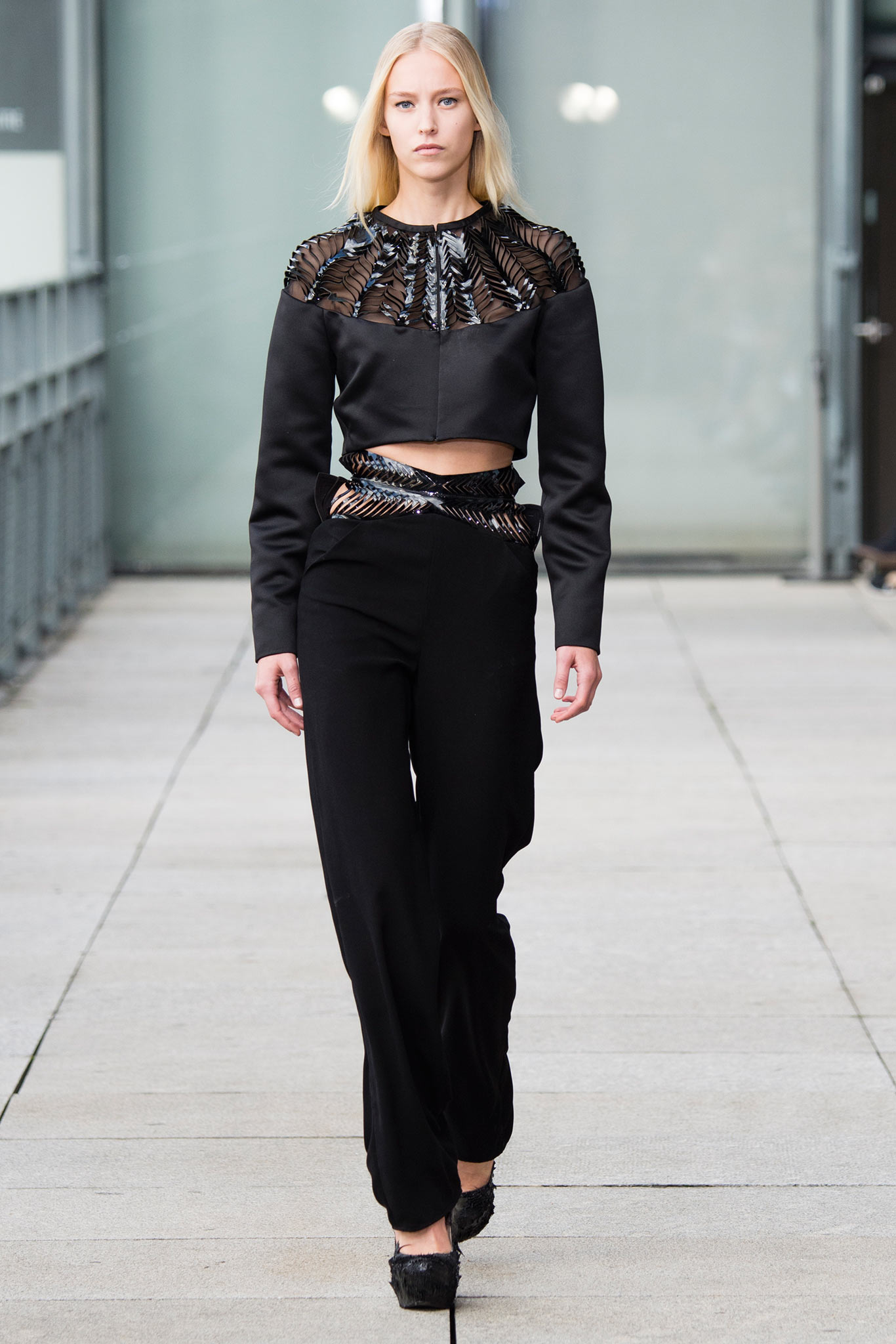 Iris van Herpen S/S 15 Look 4