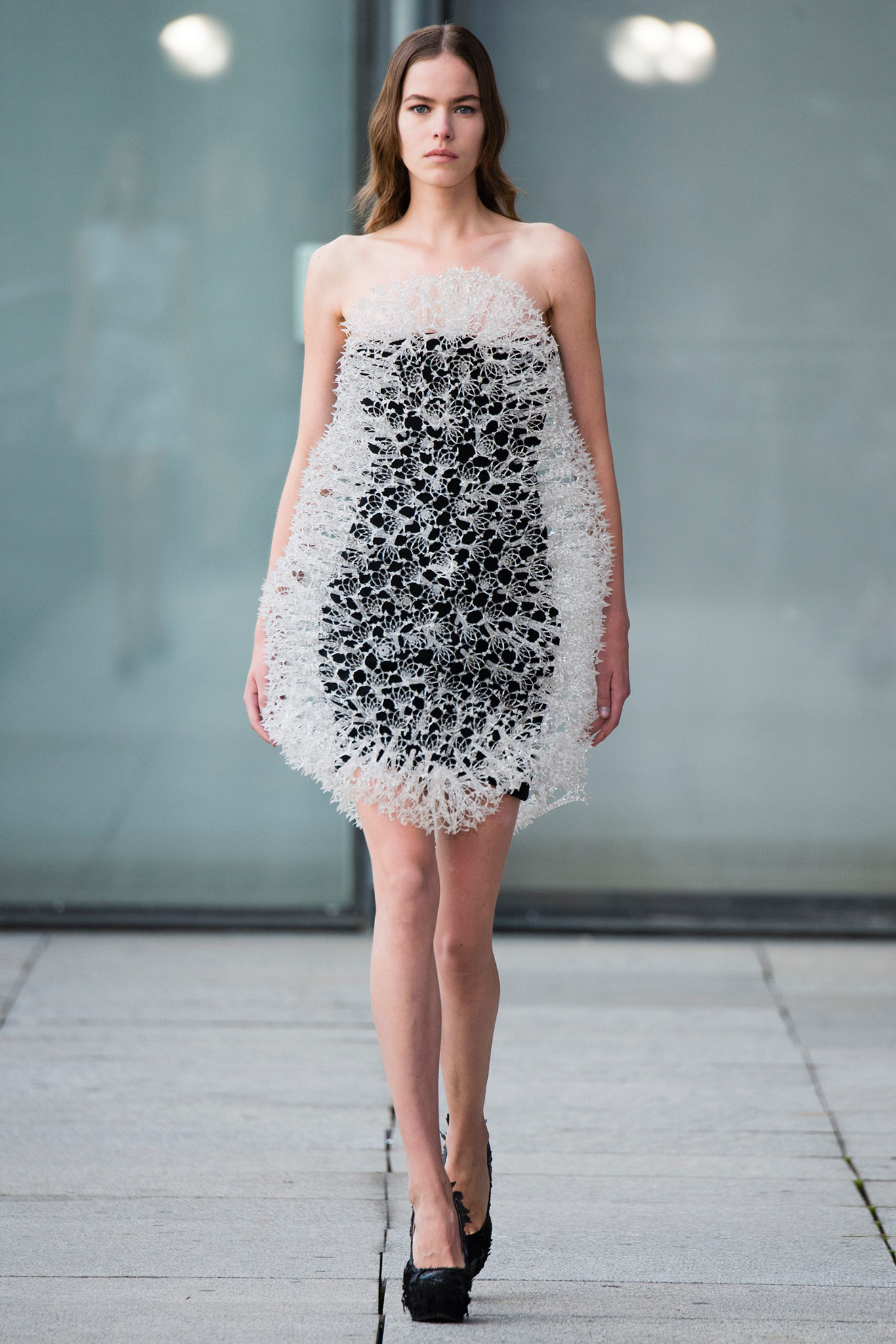 Iris van Herpen S/S 15 Look 30
