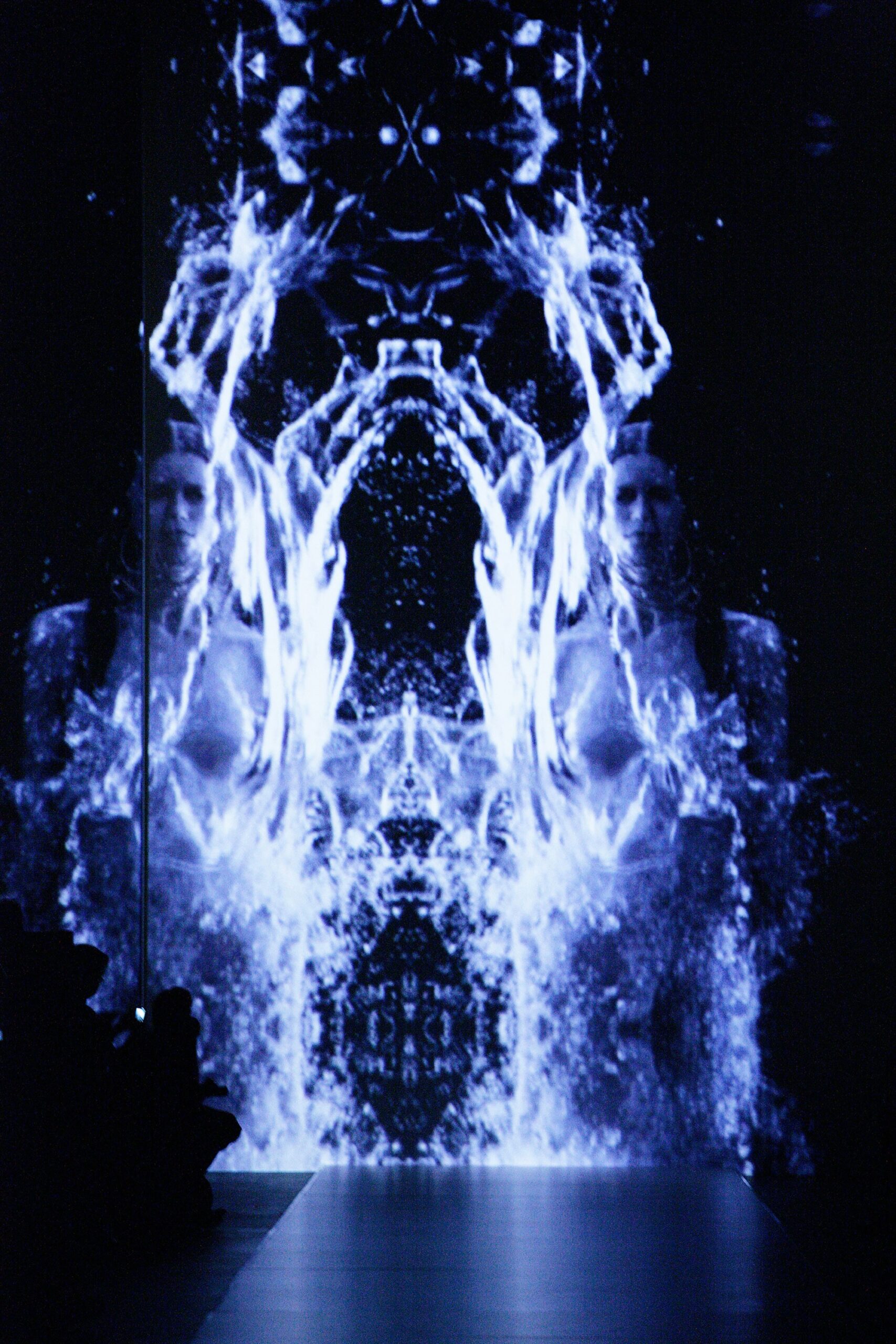 Iris van Herpen Spring 2011 Ready-to-Wear
