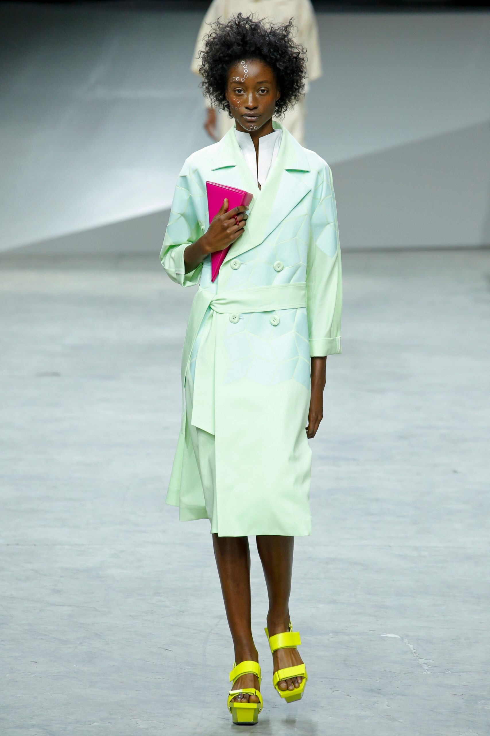 Issey Miyake S/S 17 Look 9