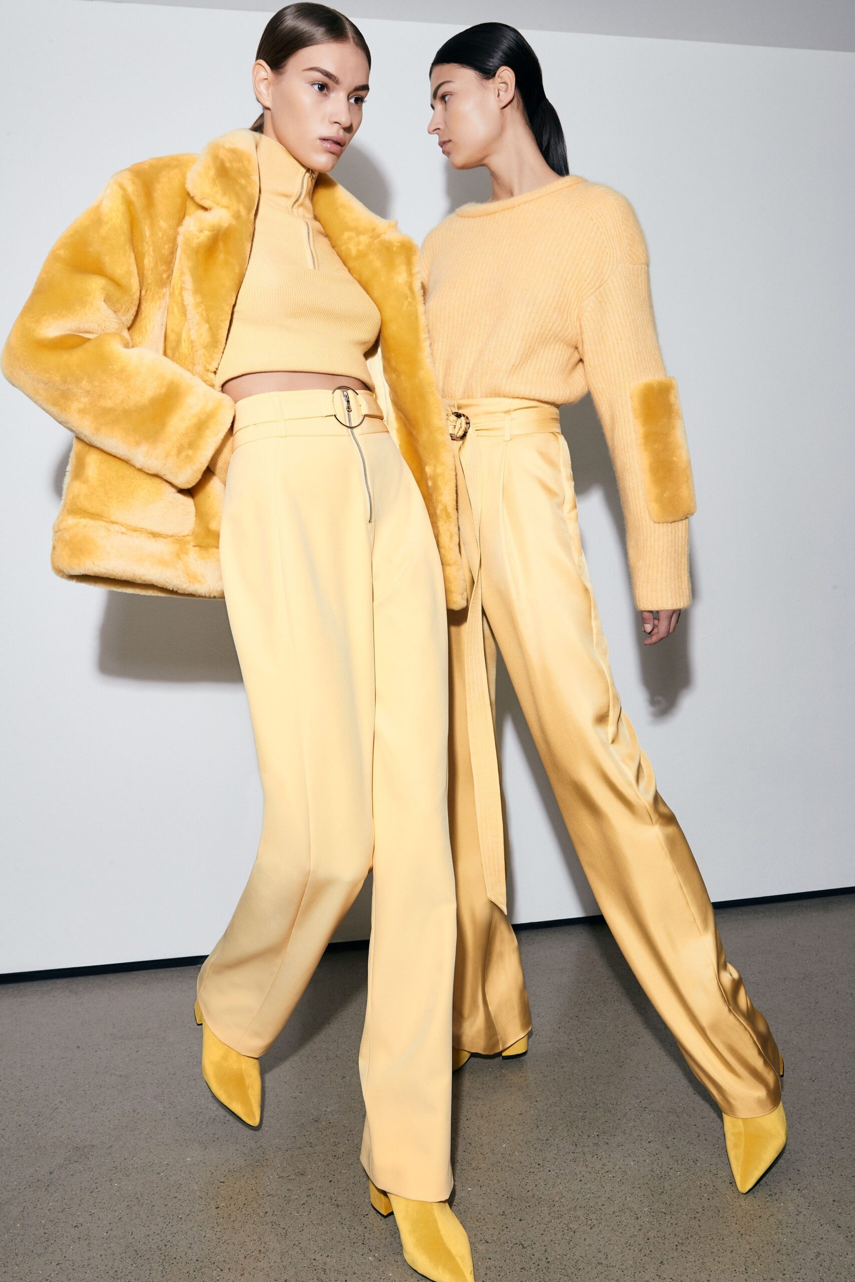 LaPointe Pre-Fall 2019