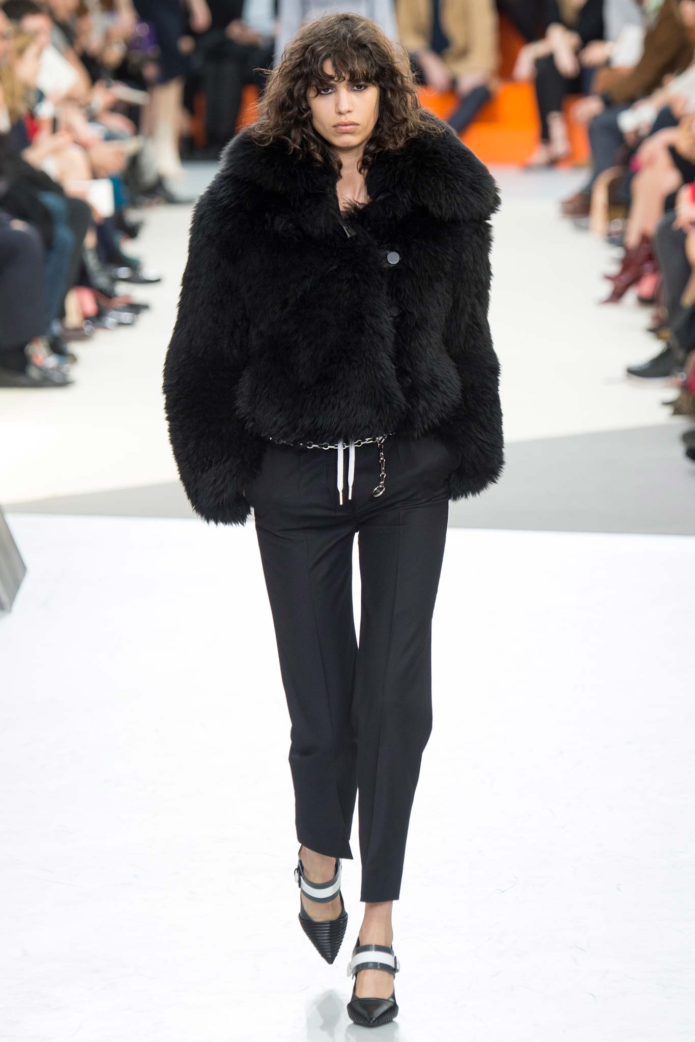 Louis Vuitton F/W 15 Look 4