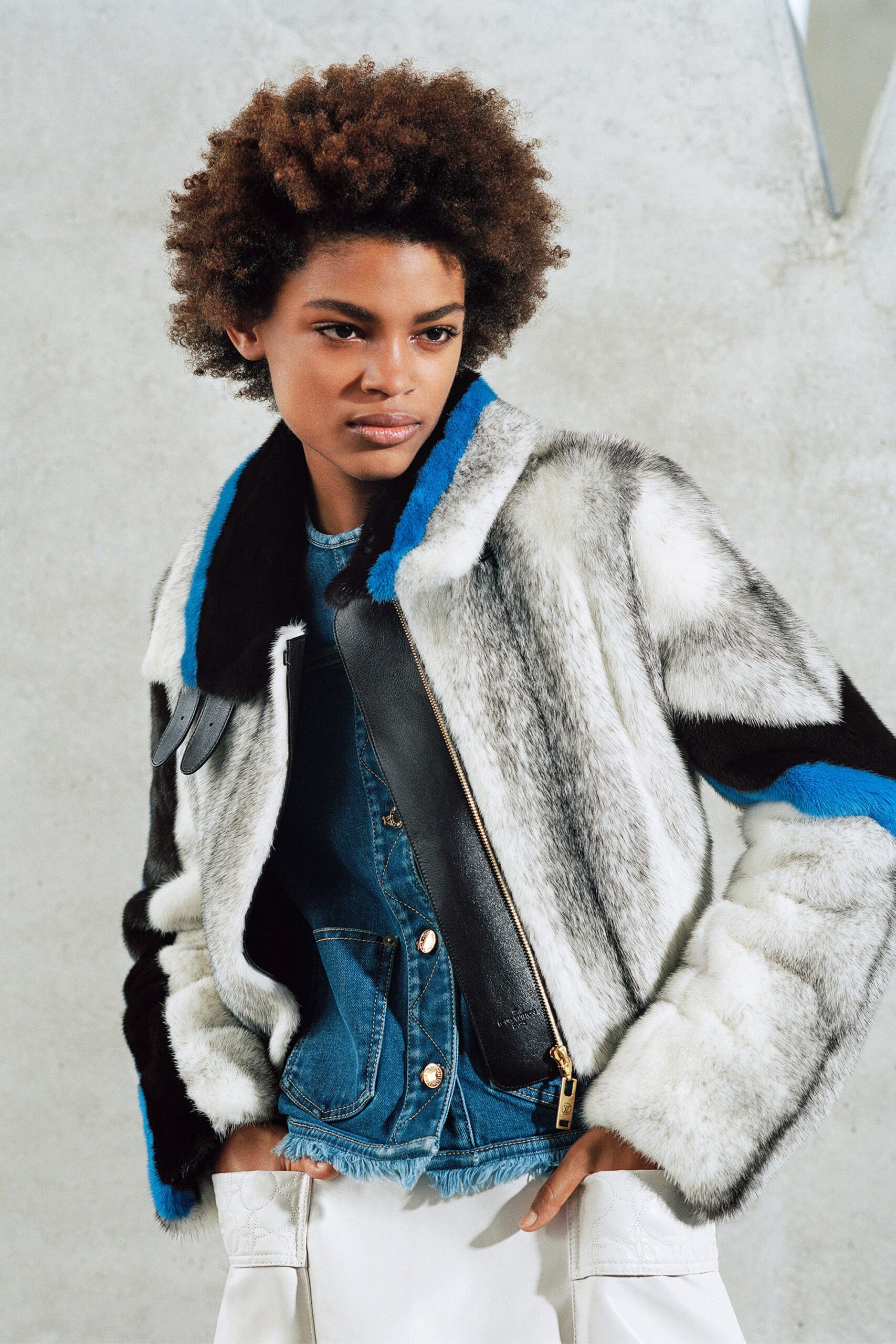 Louis Vuitton F/W 17 Look 10