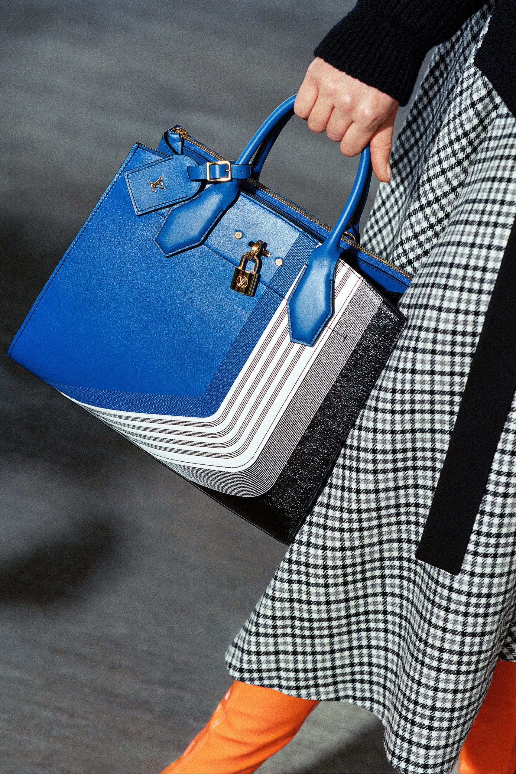 Louis Vuitton F/W 17 Look 14