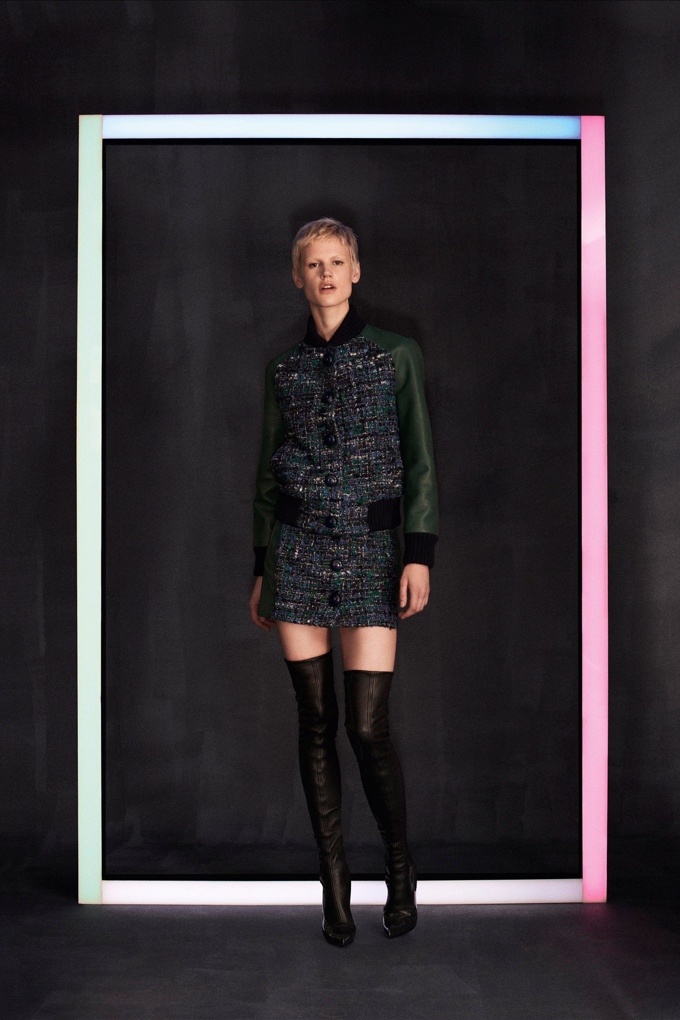Louis Vuitton F/W 14 Look 4