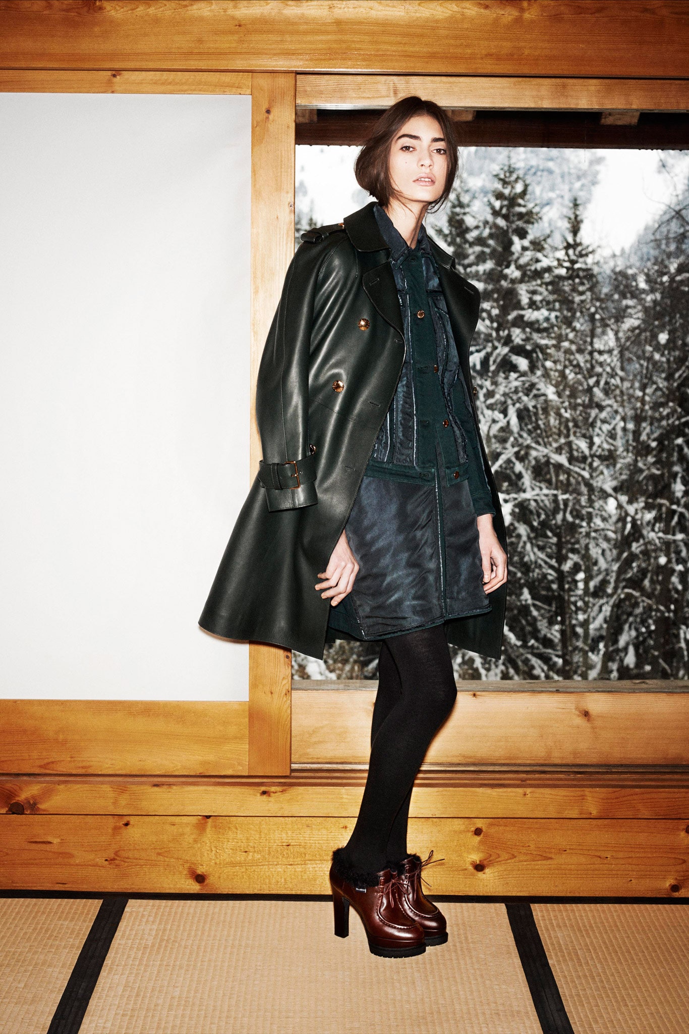Louis Vuitton F/W 14 Look 33