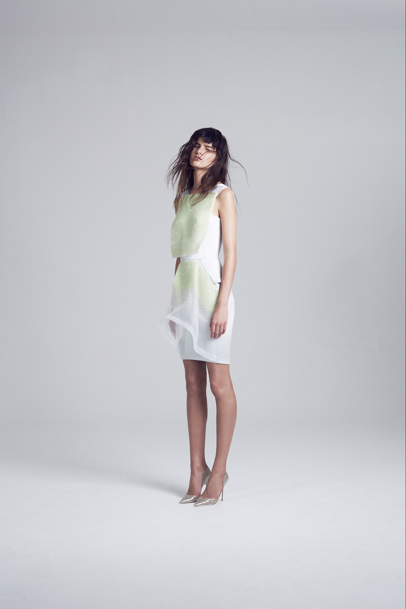Maticevski S/S 15 Look 7