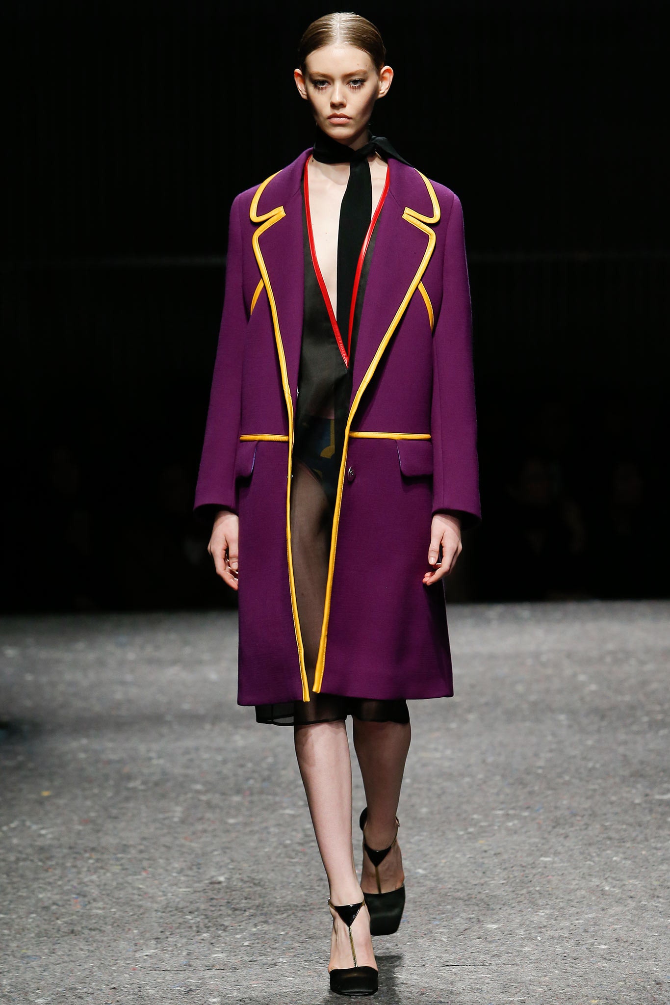 Prada F/W 14 Look 3