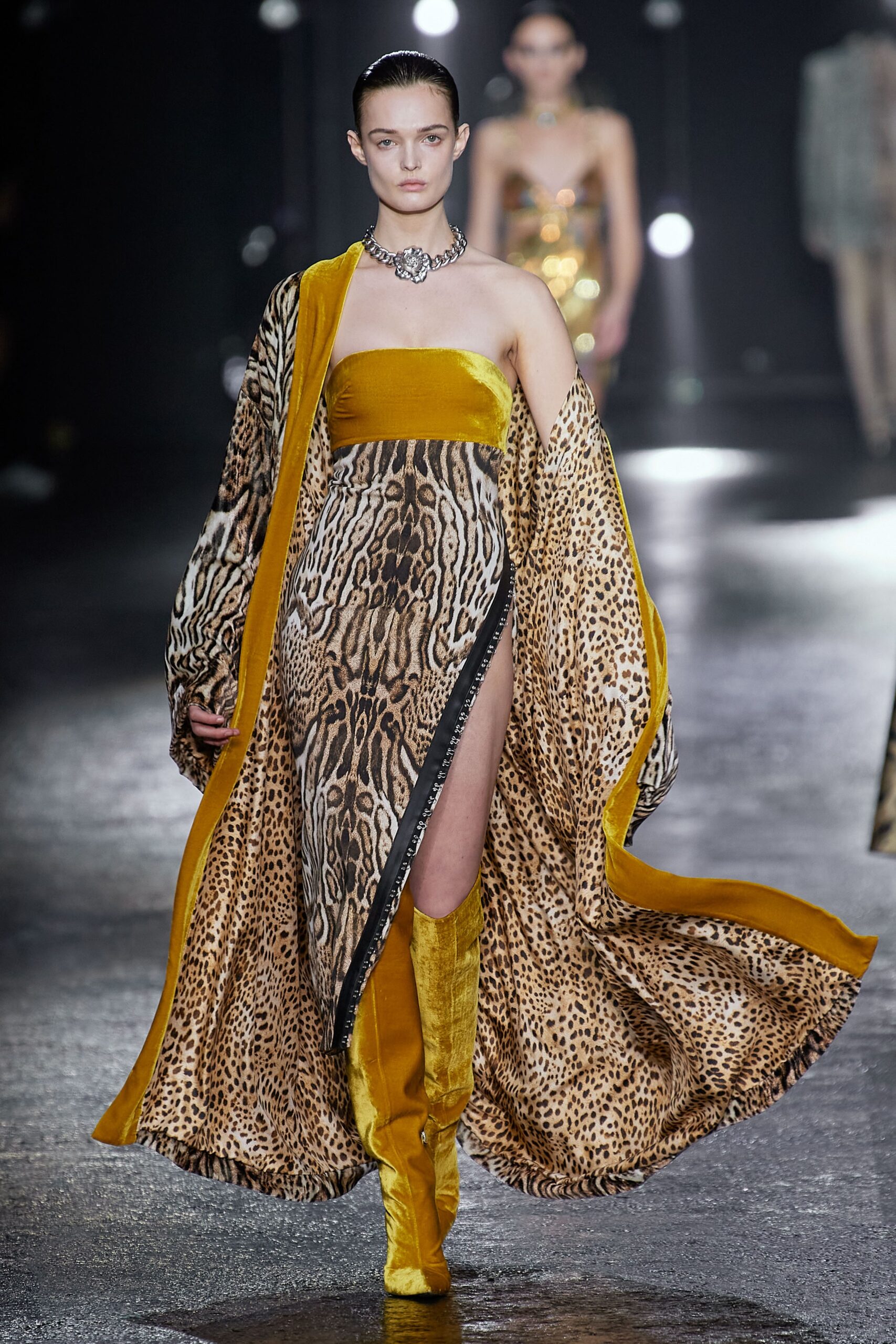 Roberto Cavalli F/W 22 Look 4