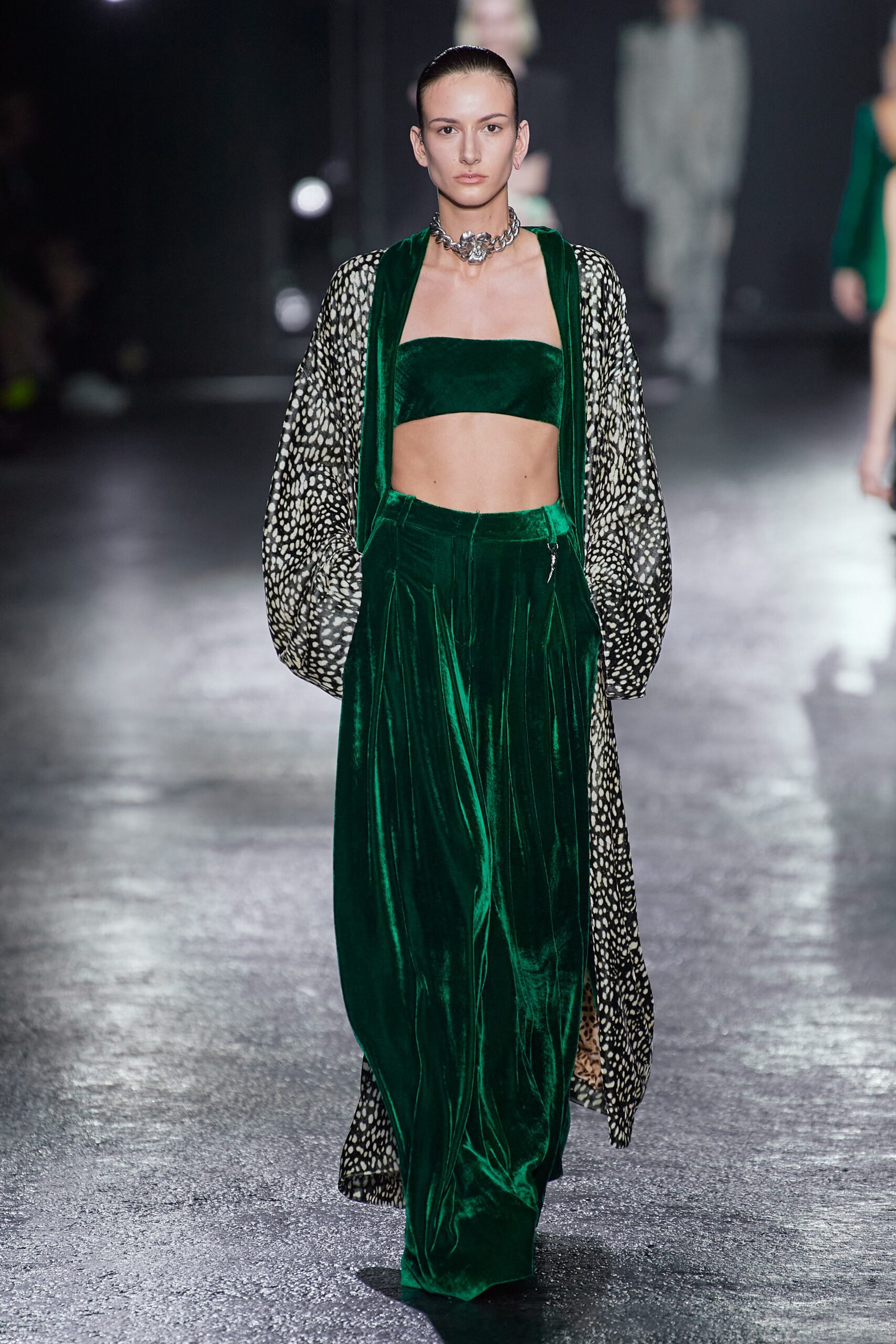 Roberto Cavalli F/W 22 Look 16