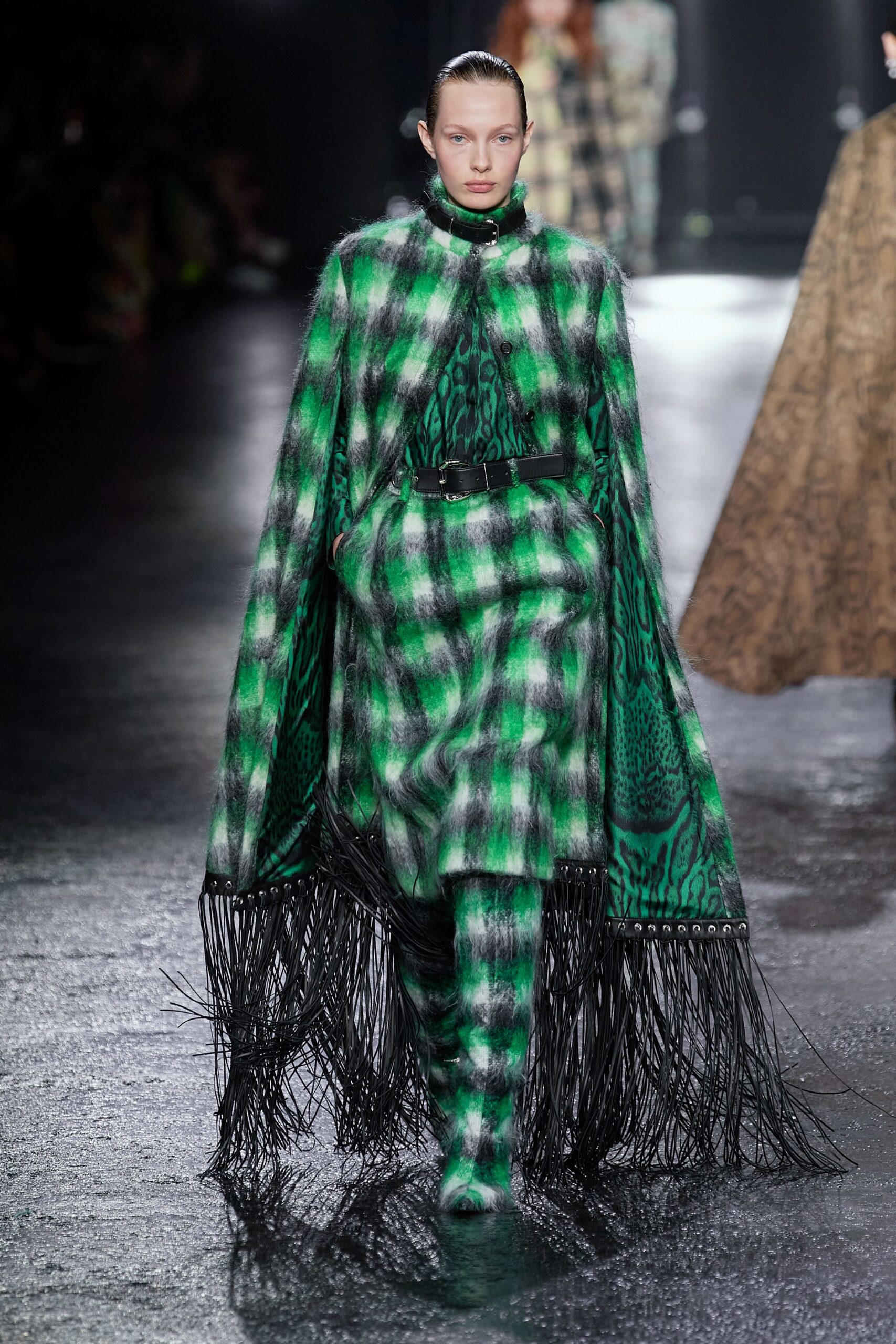 Roberto Cavalli F/W 22 Look 24