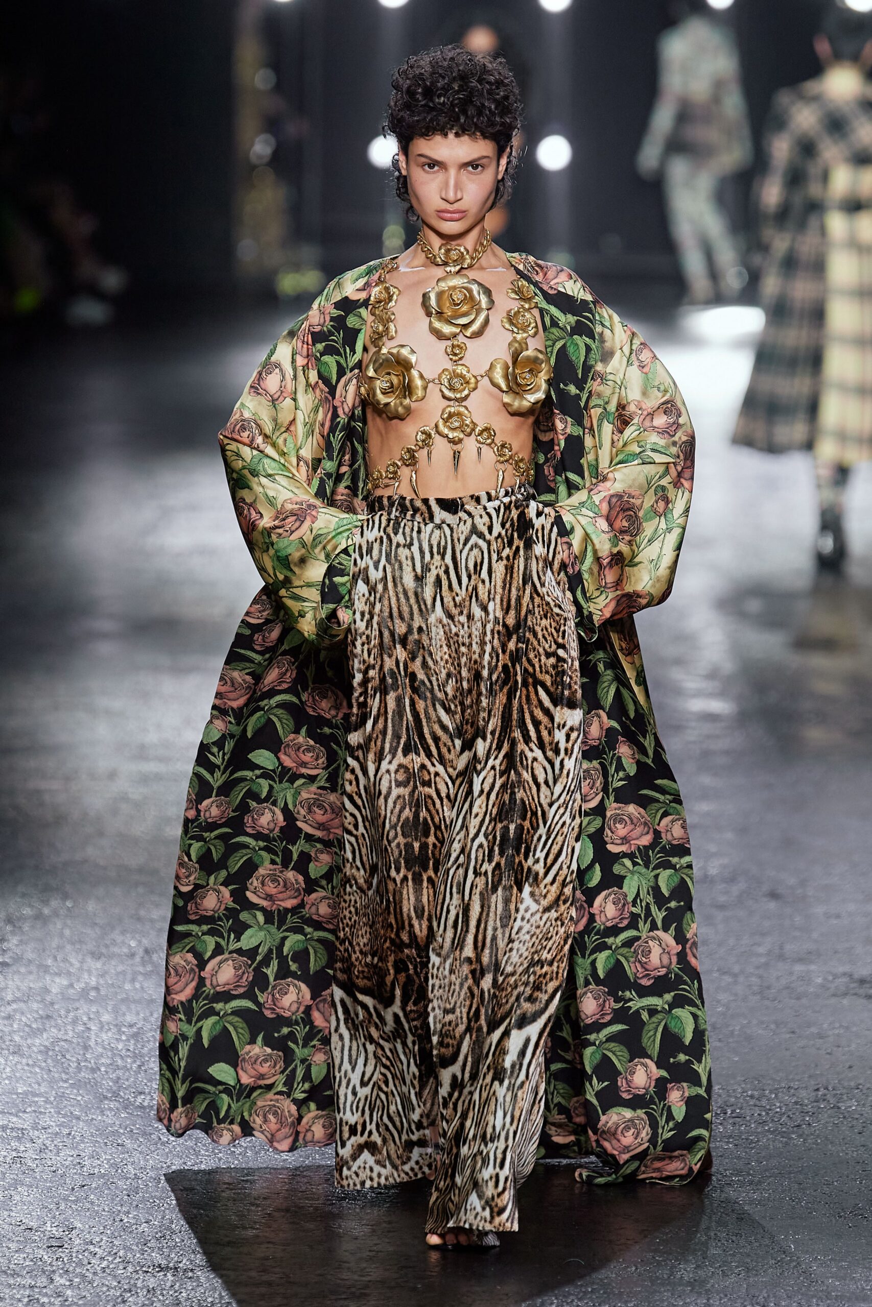 Roberto Cavalli F/W 22 Look 29