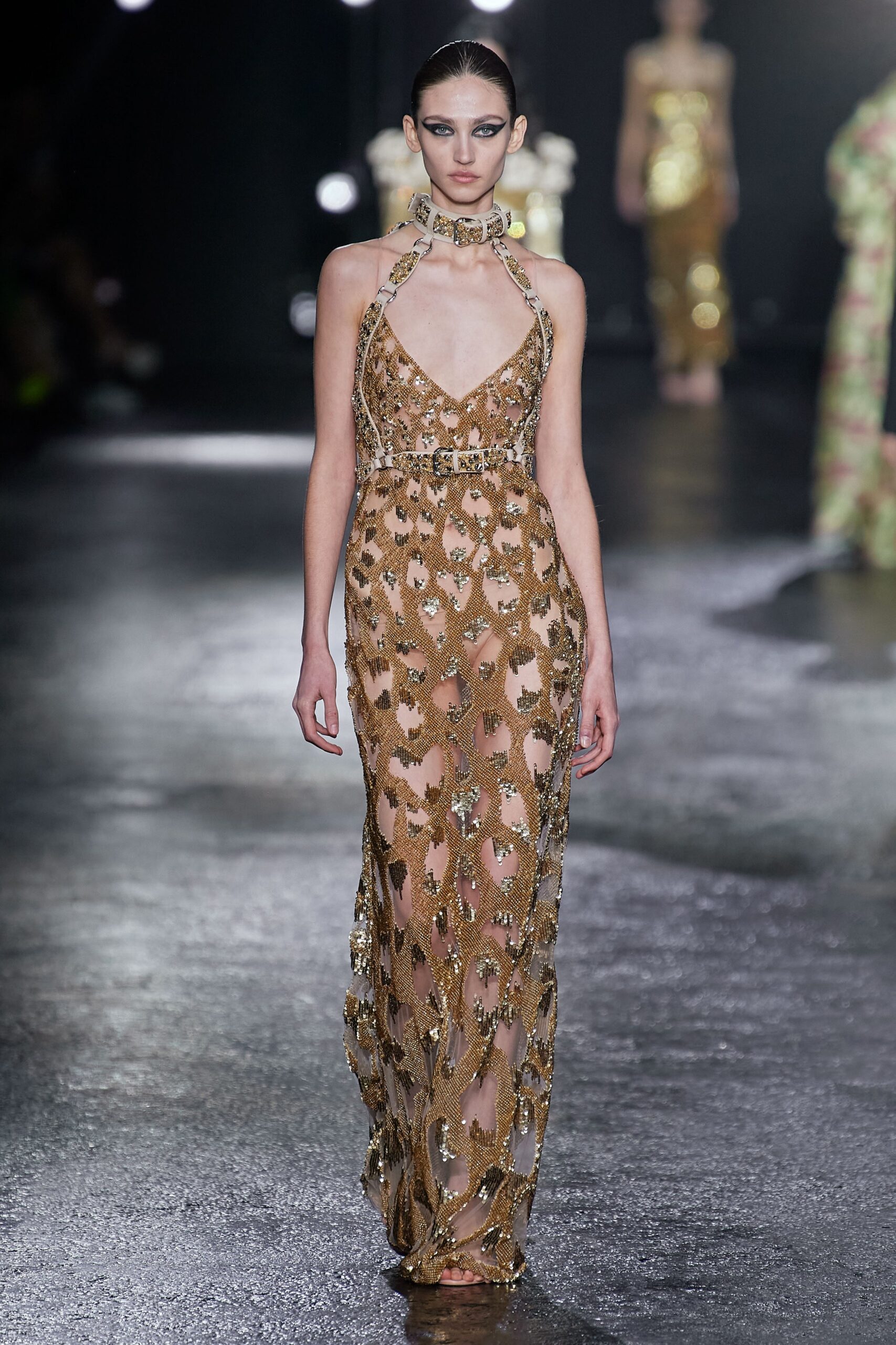 Roberto Cavalli F/W 22 Look 31
