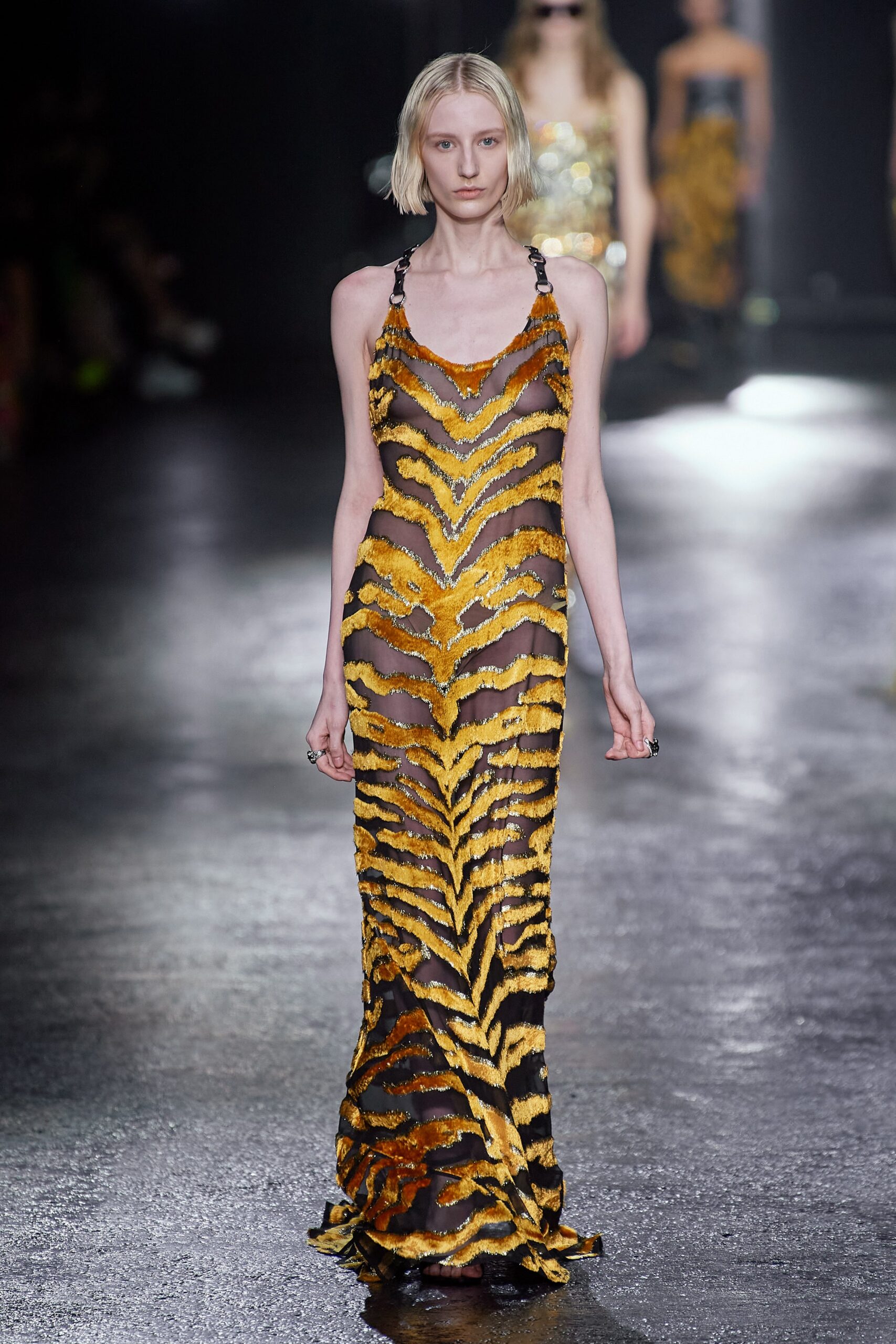 Roberto Cavalli F/W 22 Look 37