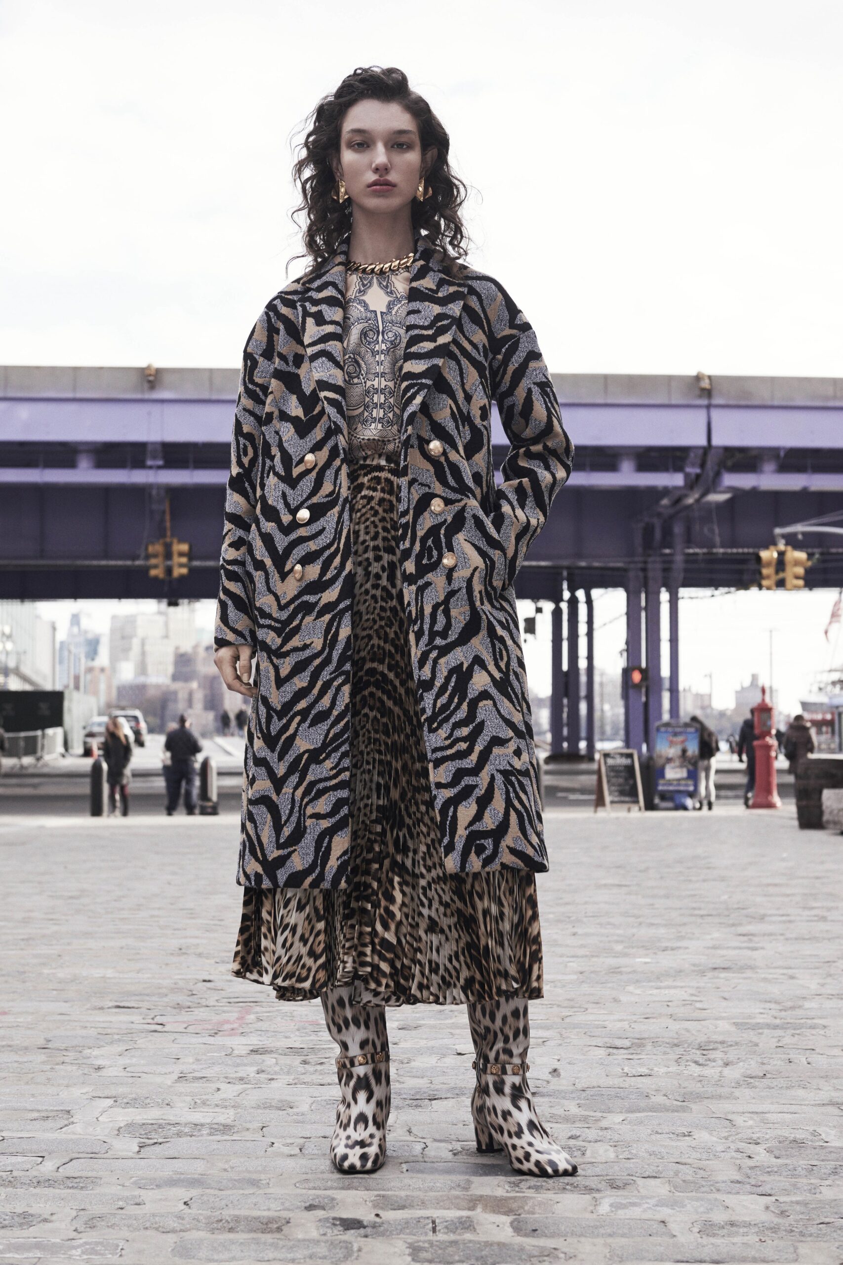 Roberto Cavalli F/W 19 Look 47