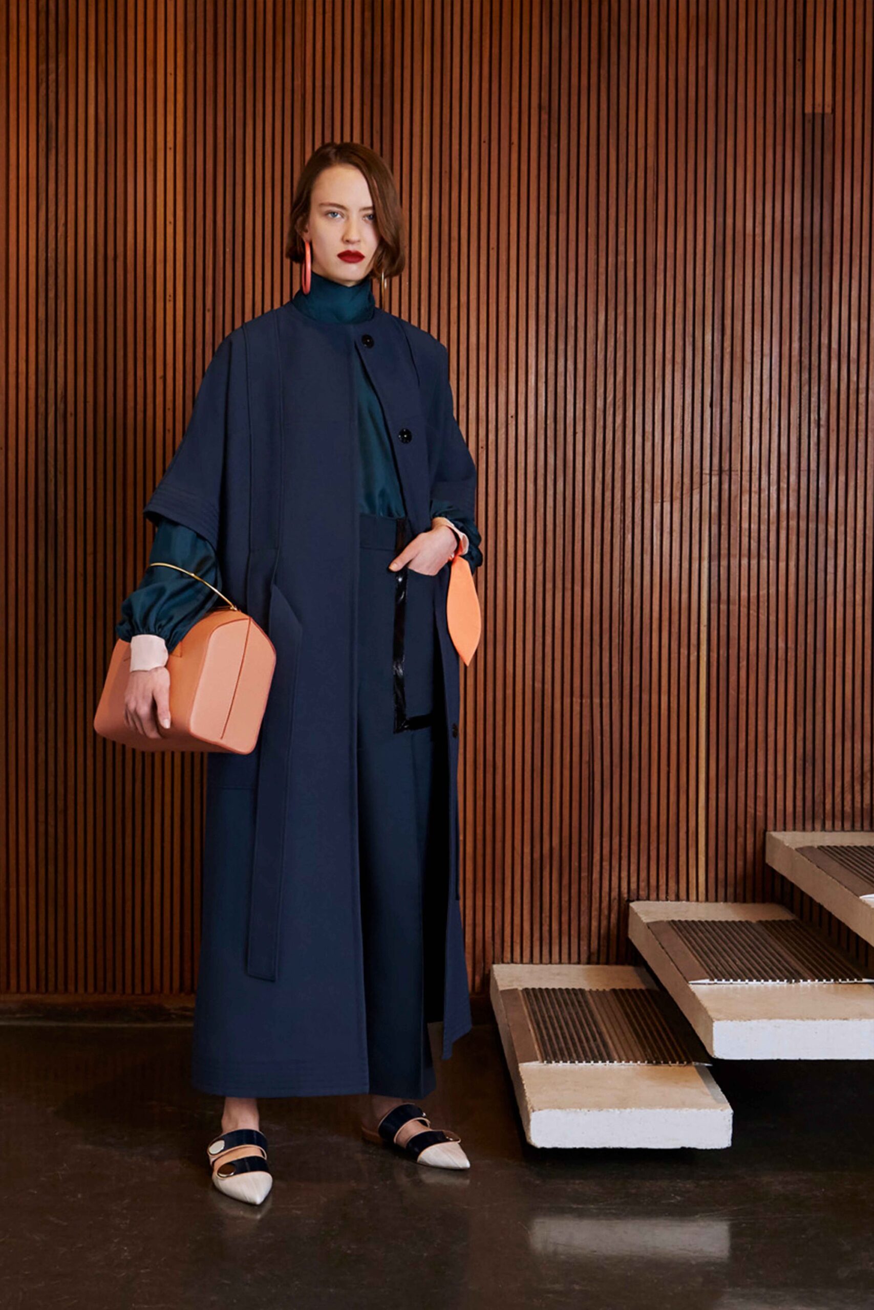 Roksanda F/W 17 Look 16