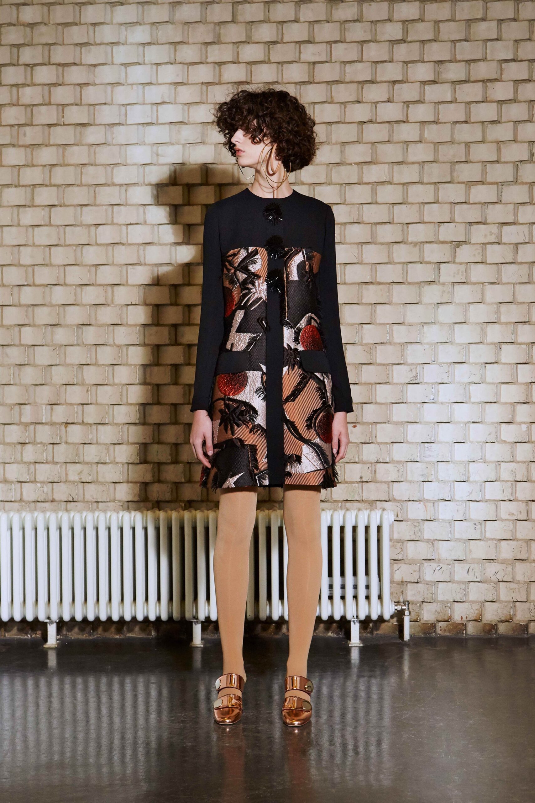 Roksanda F/W 17 Look 21