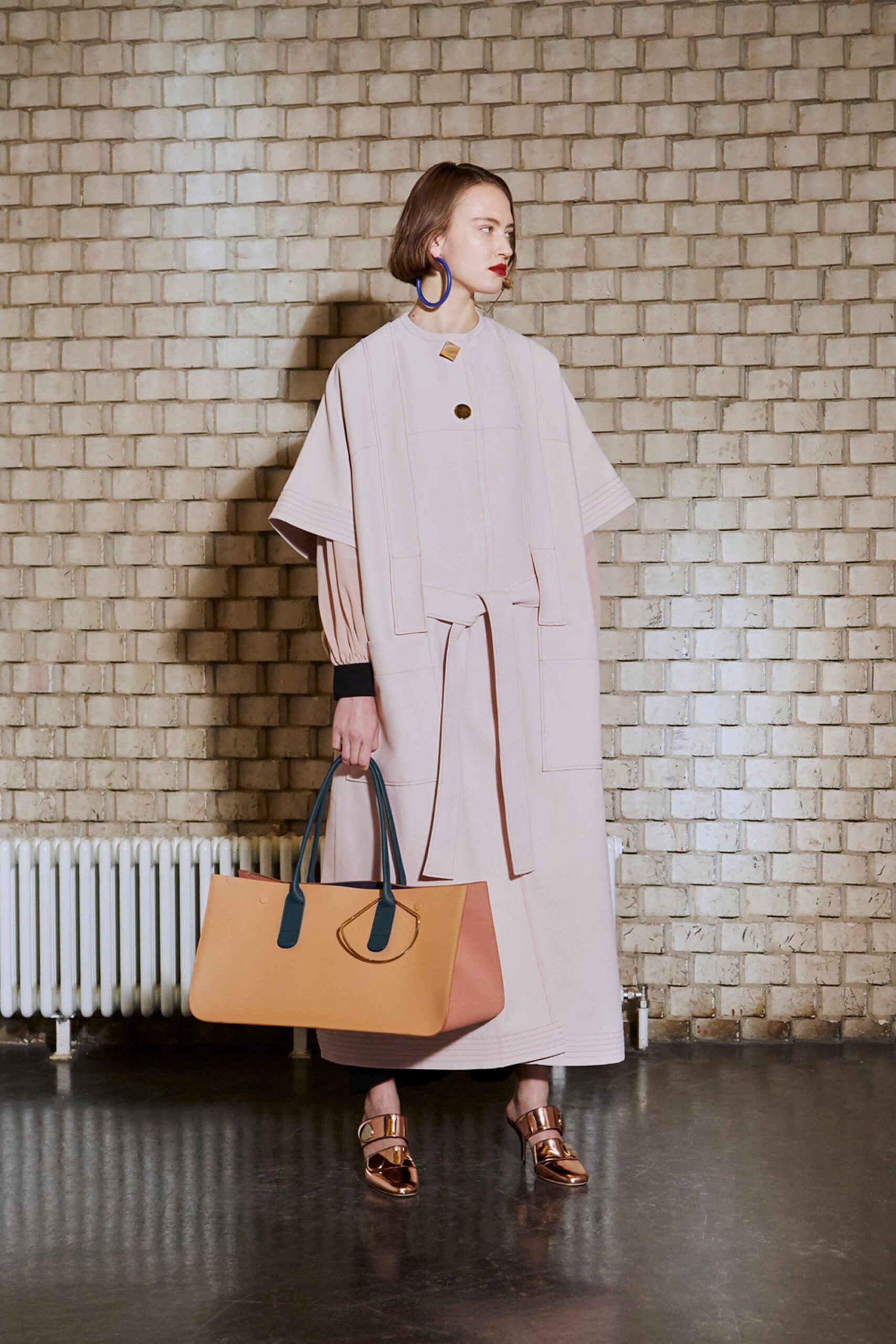Roksanda F/W 17 Look 23