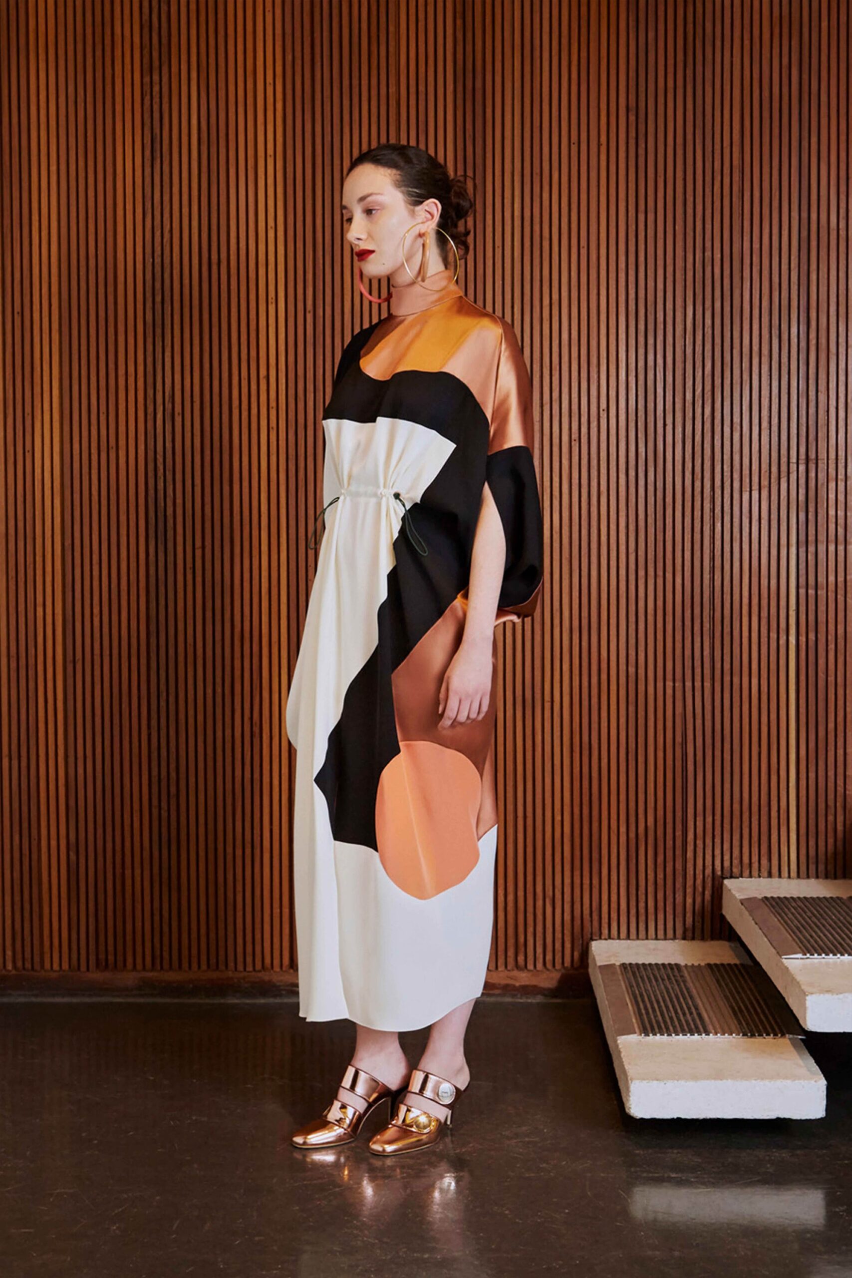 Roksanda F/W 17 Look 24
