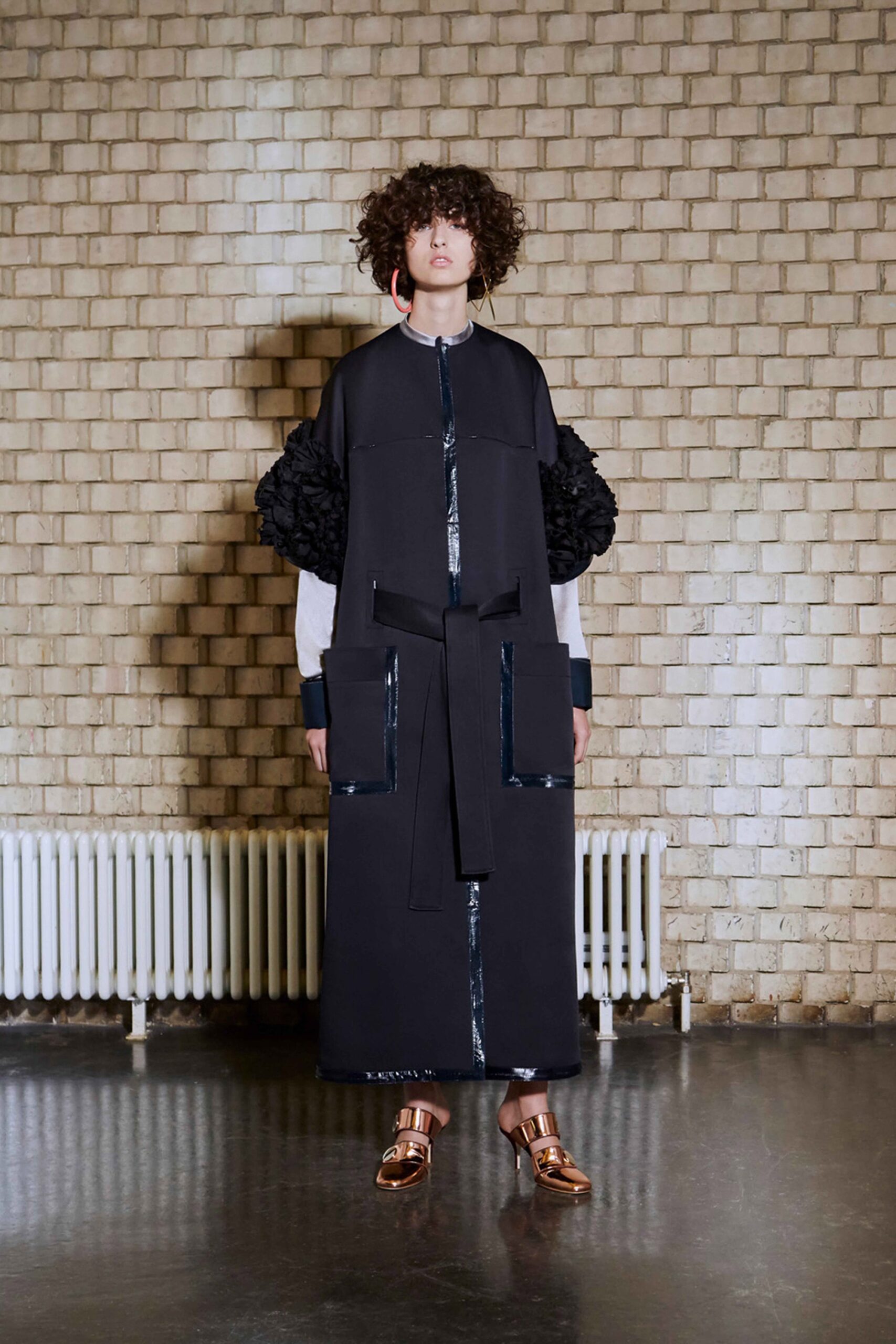 Roksanda F/W 17 Look 29