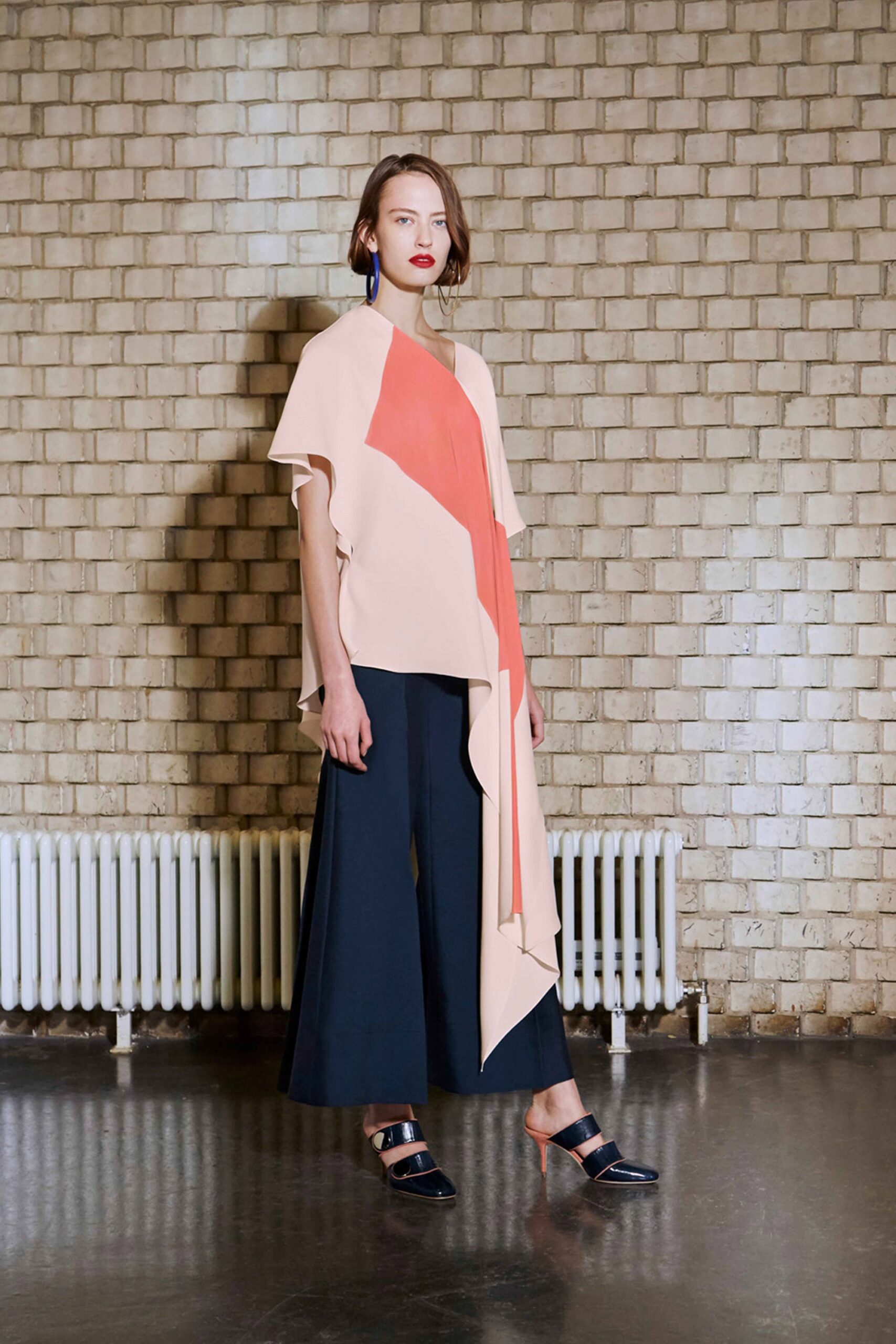 Roksanda F/W 17 Look 30