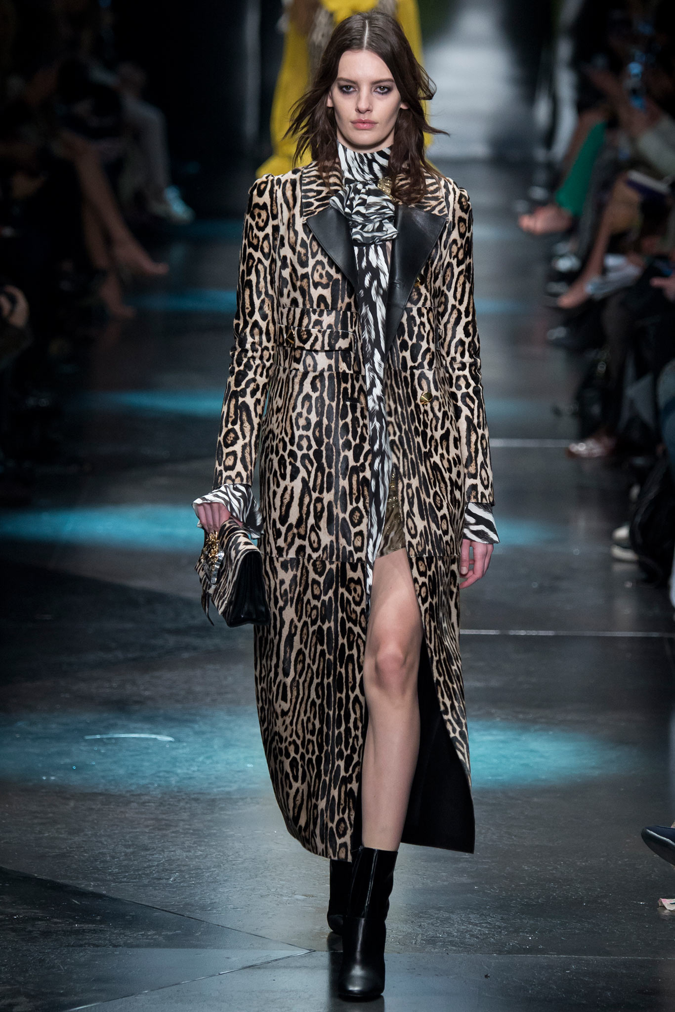 Roberto Cavalli F/W 15 Look 4