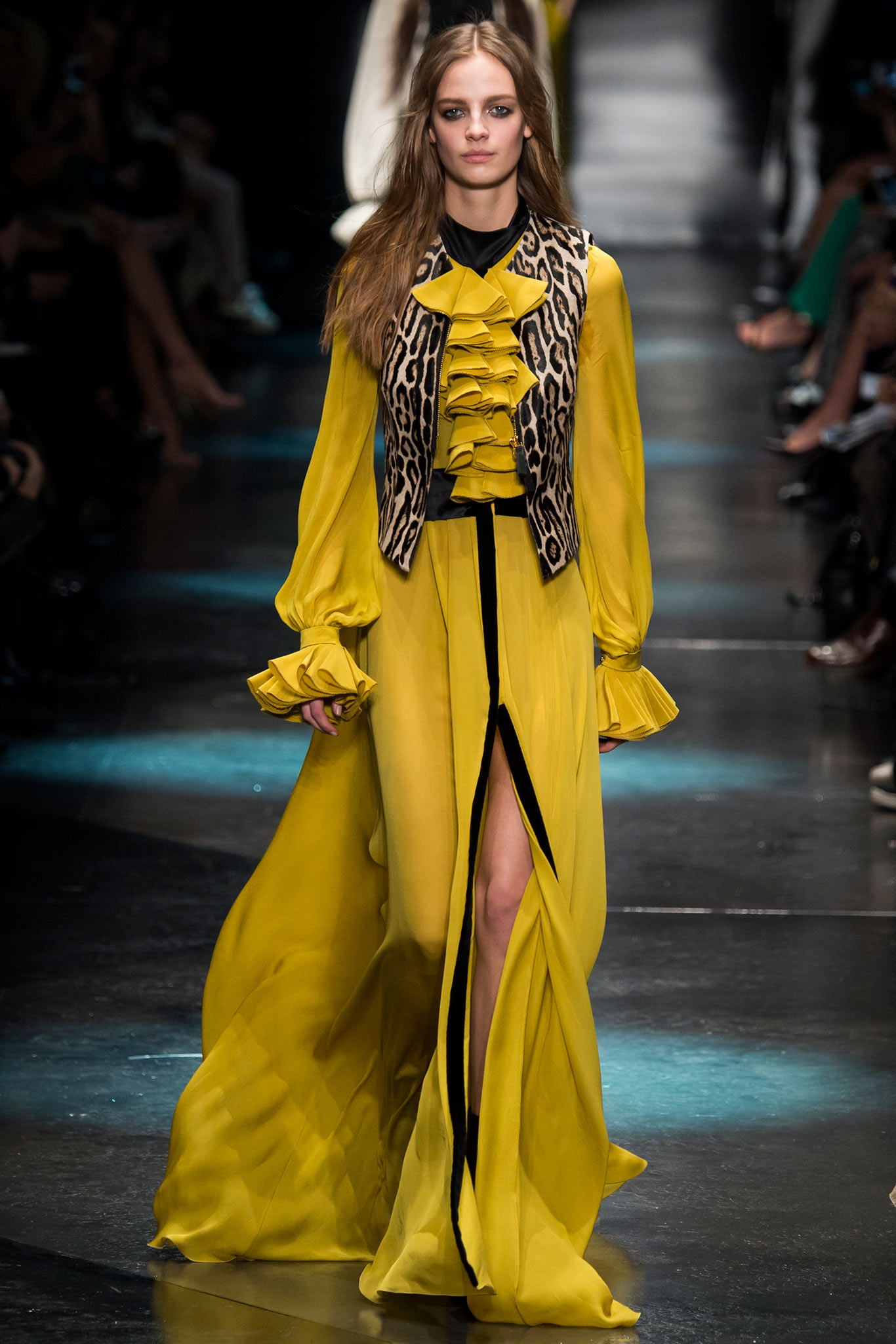 Roberto Cavalli F/W 15 Look 5