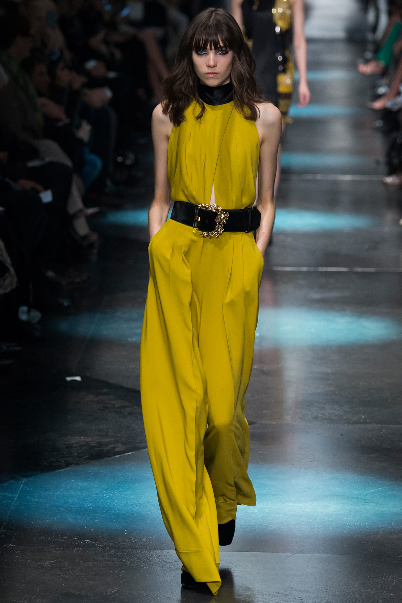 Roberto Cavalli F/W 15 Look 7