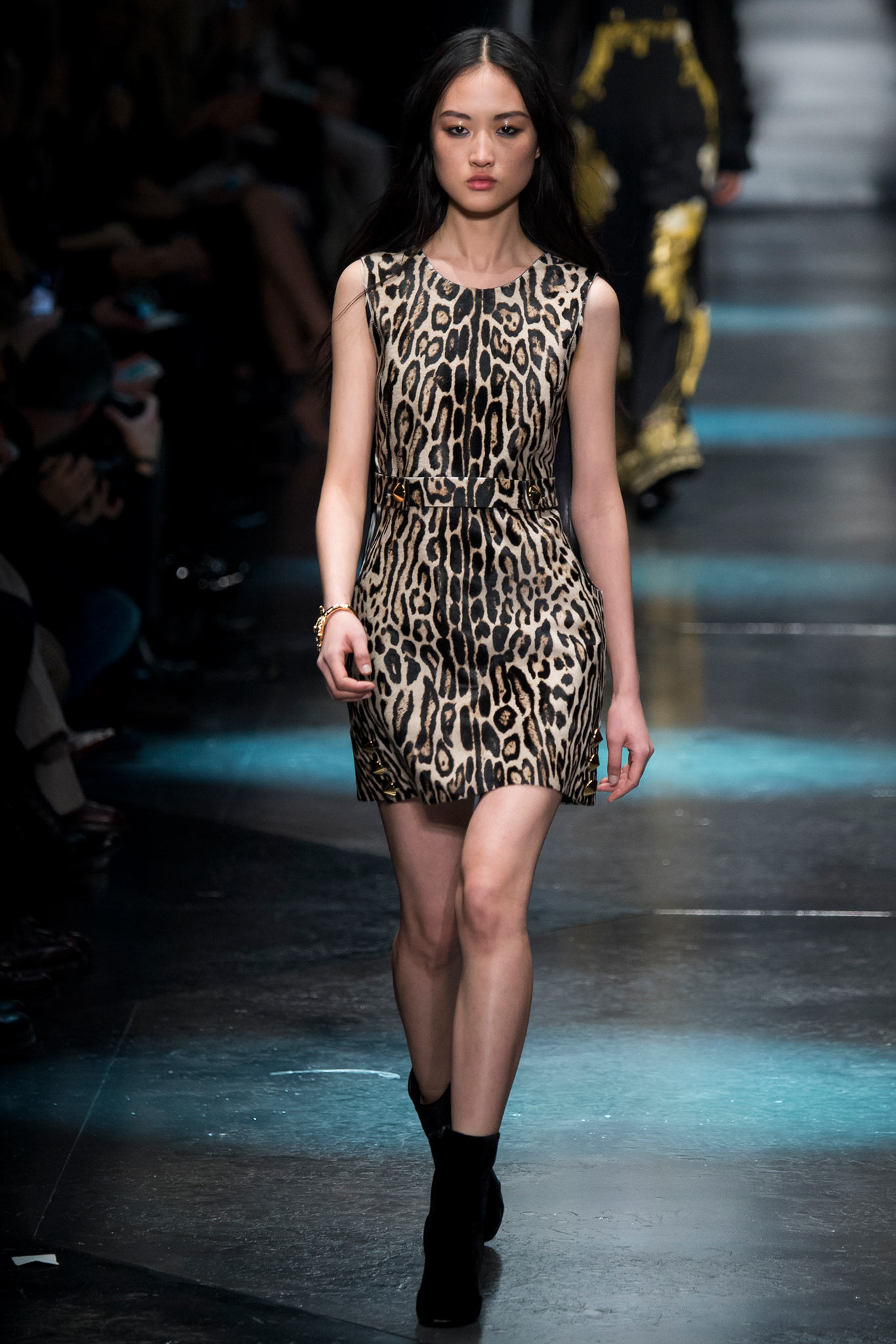 Roberto Cavalli F/W 15 Look 10