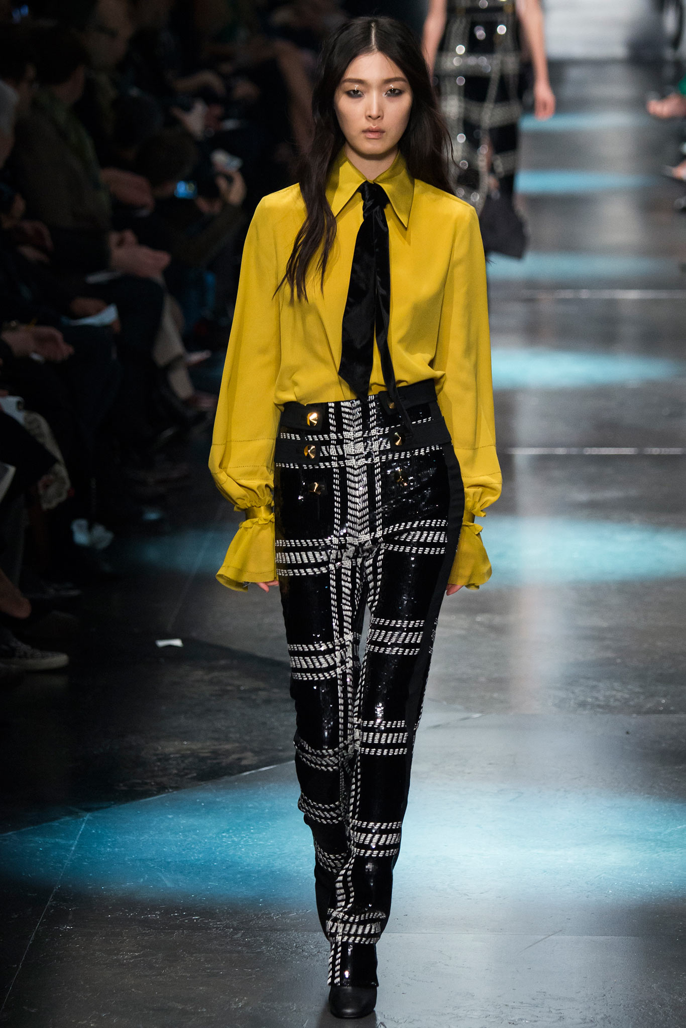 Roberto Cavalli F/W 15 Look 20