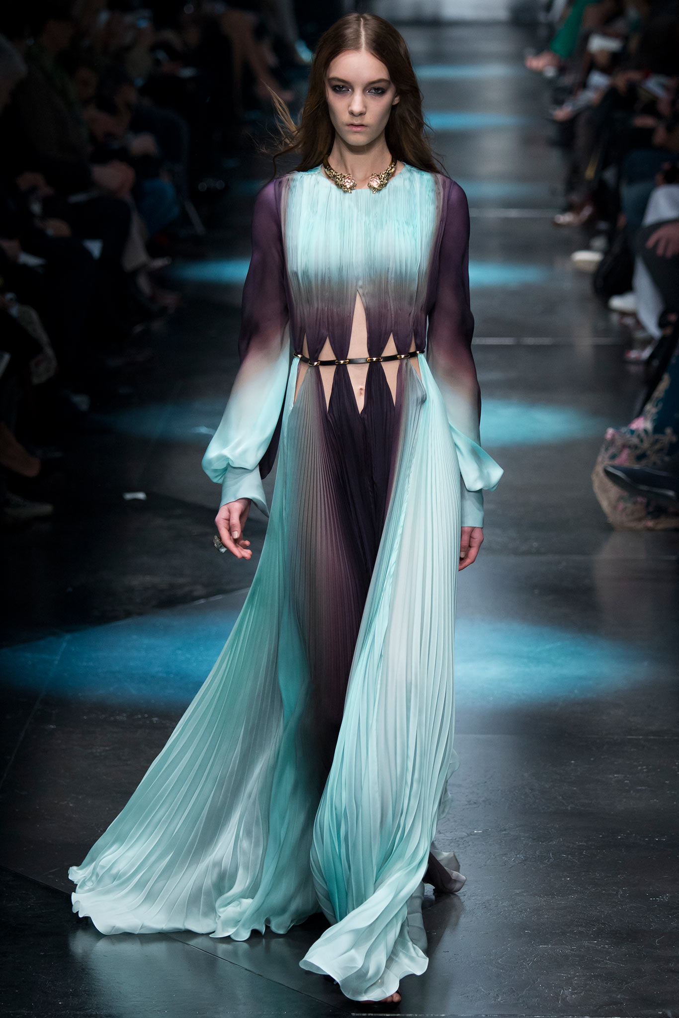 Roberto Cavalli F/W 15 Look 53