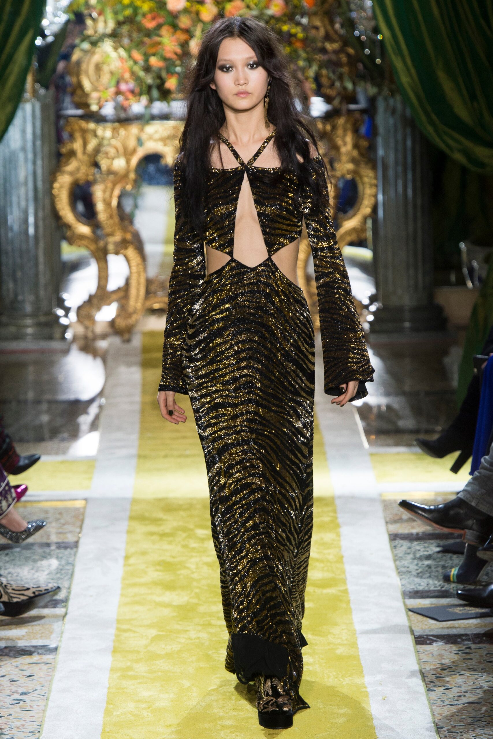 Roberto Cavalli F/W 16 Look 29