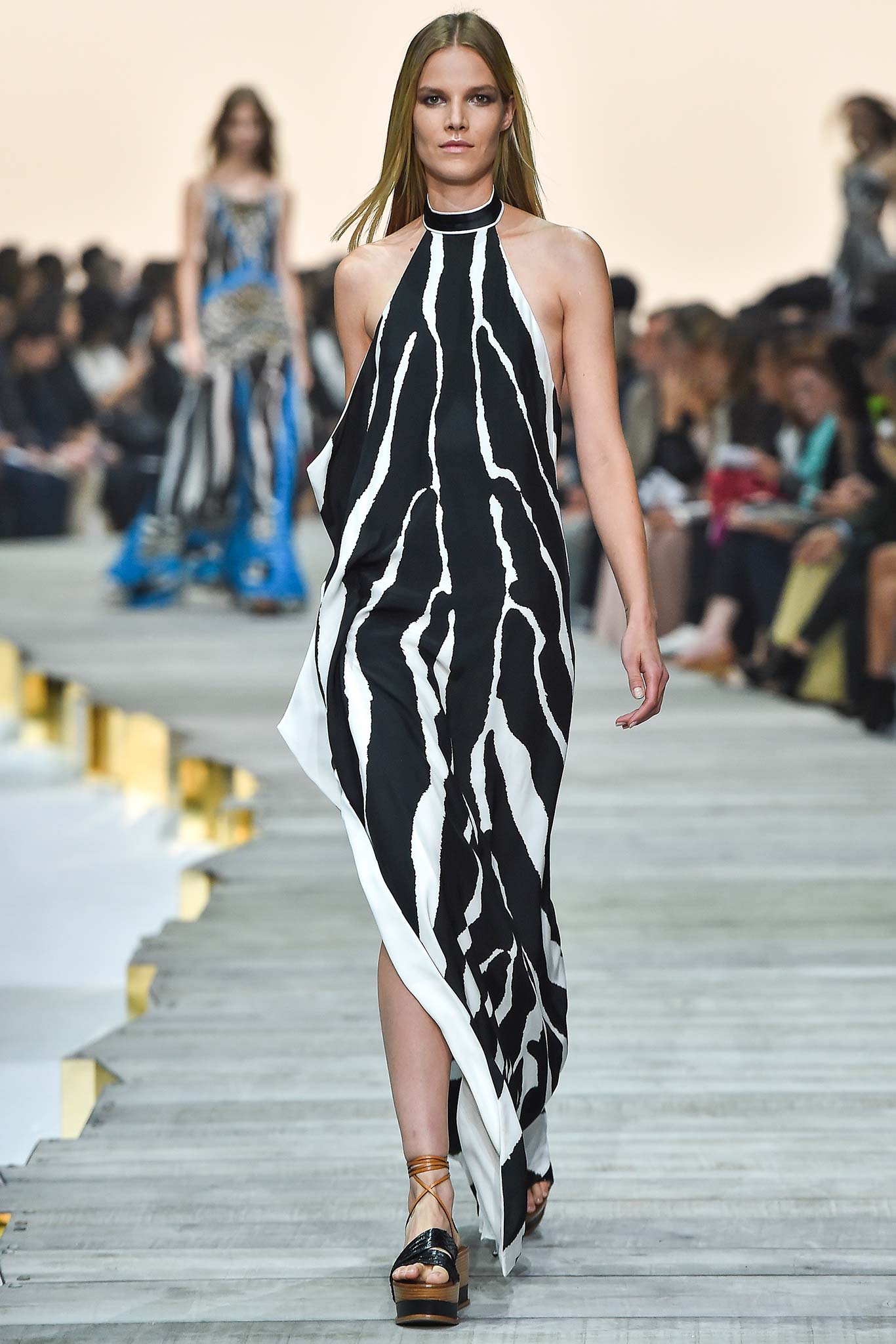 Roberto Cavalli S/S 15 Look 42