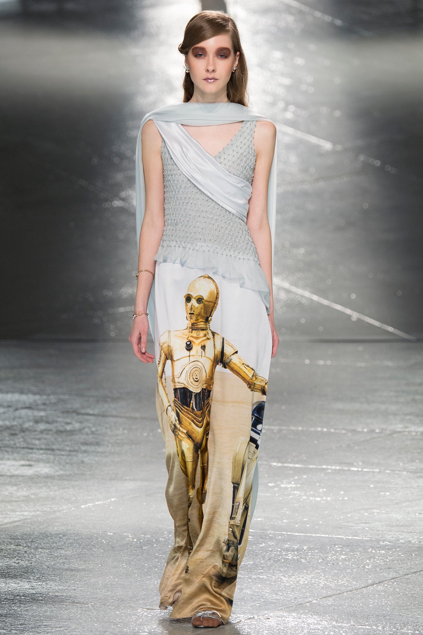 Rodarte F/W 14 Look 35