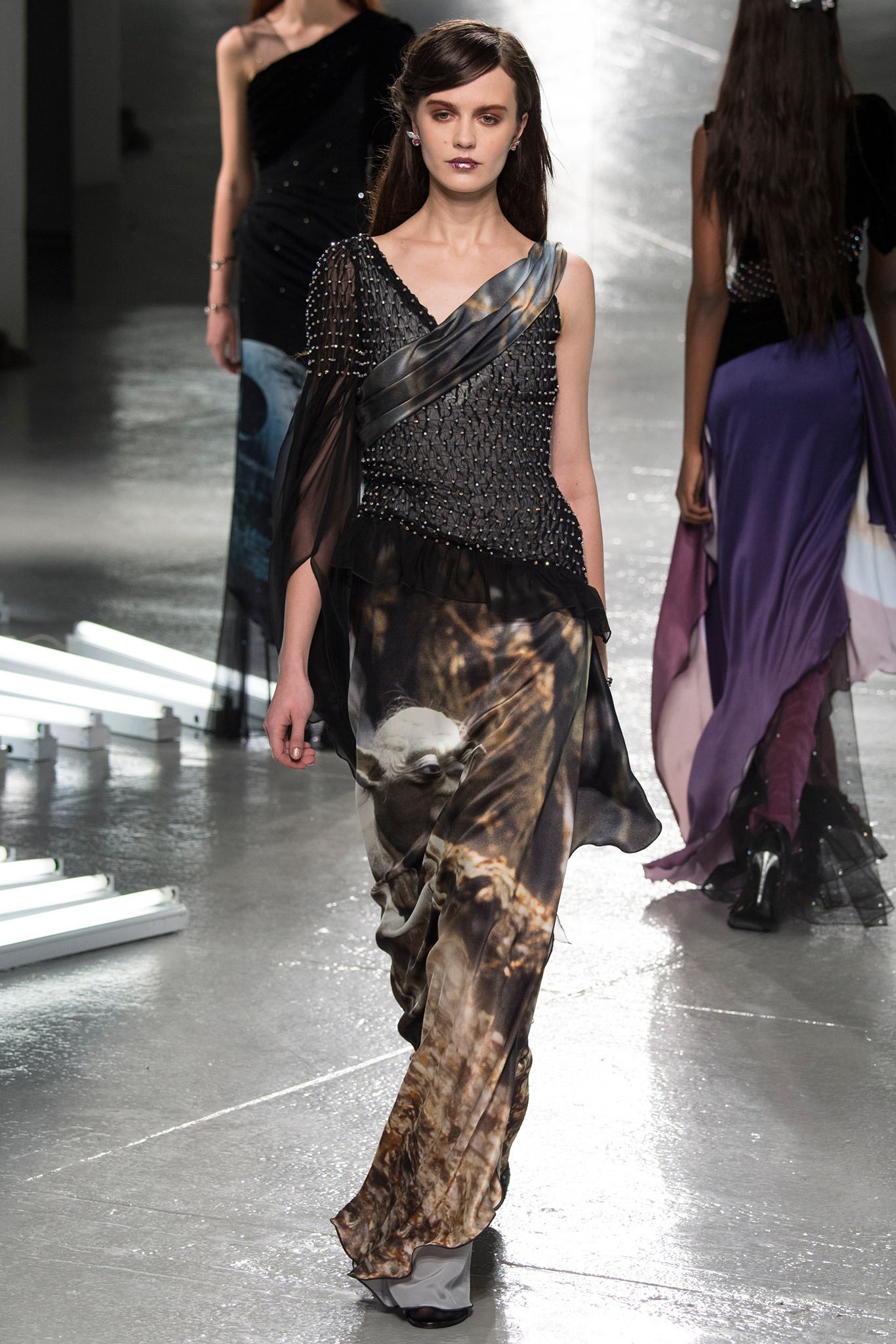 Rodarte F/W 14 Look 36