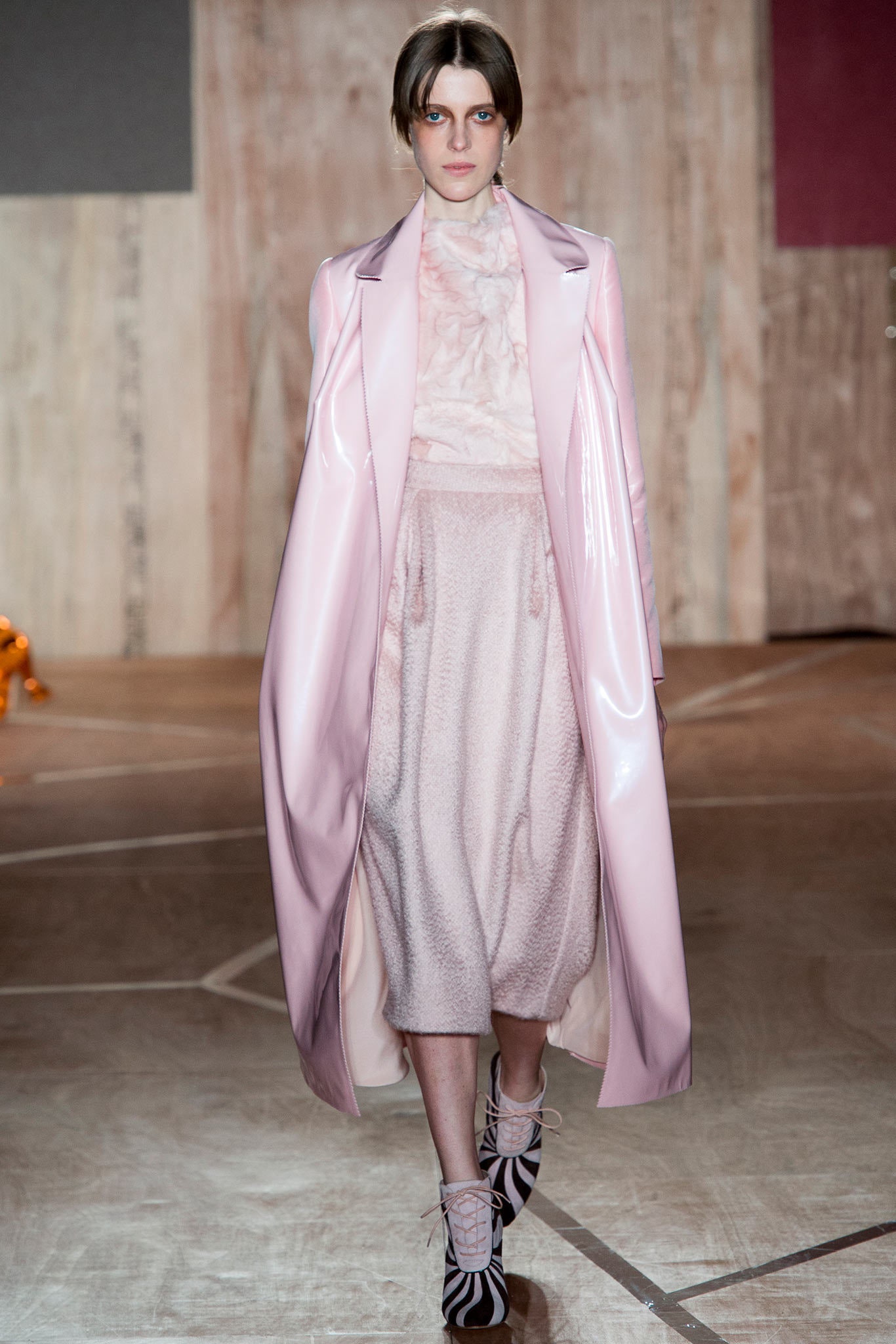 Roksanda F/W 13 Look 9