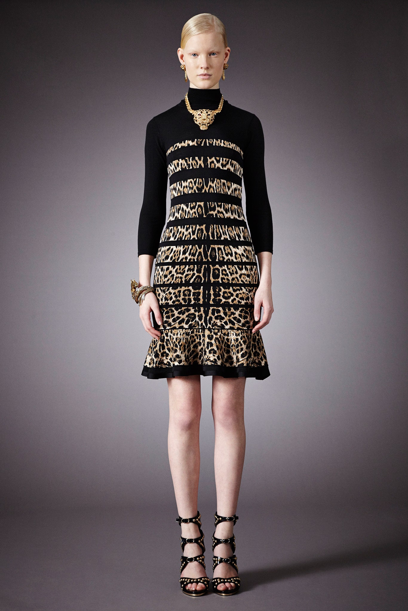Roberto Cavalli F/W 14 Look 17