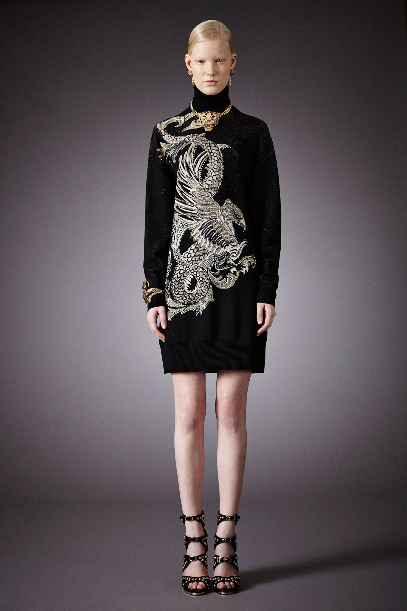 Roberto Cavalli F/W 14 Look 24